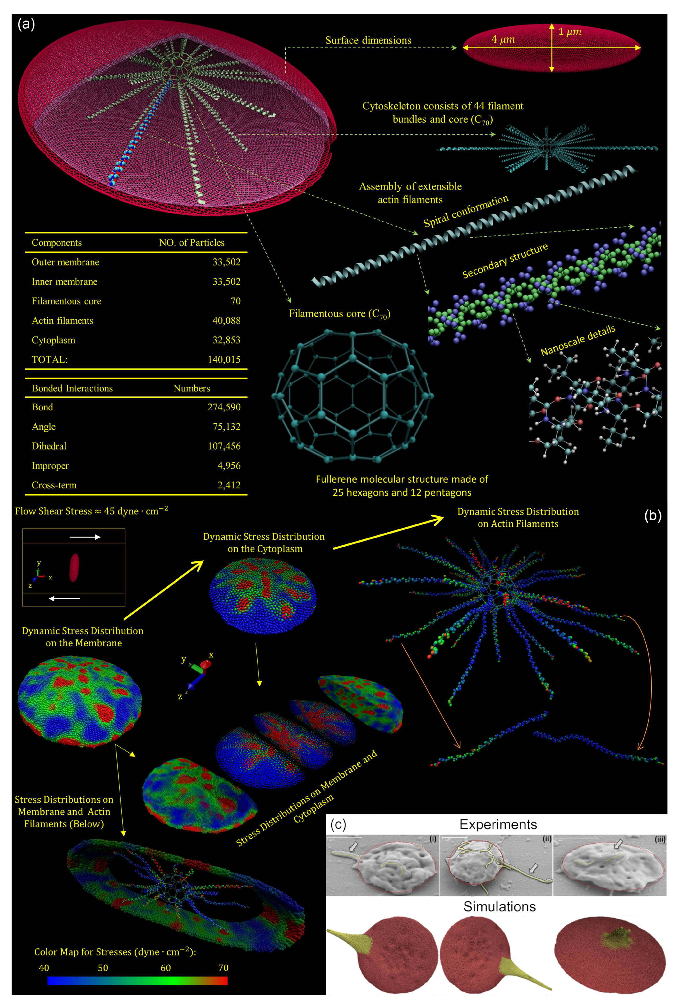Preprints 98866 g004
