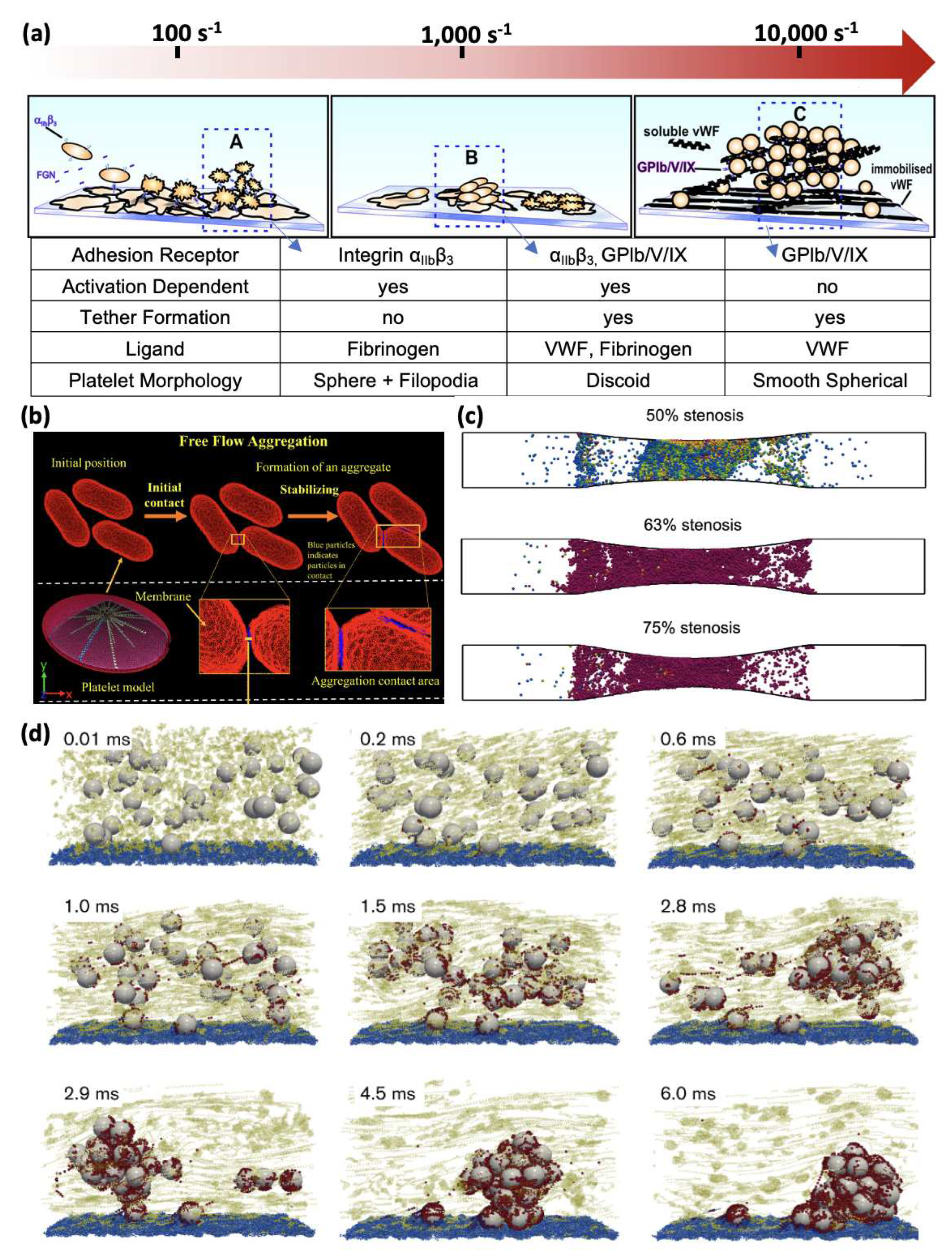 Preprints 98866 g005