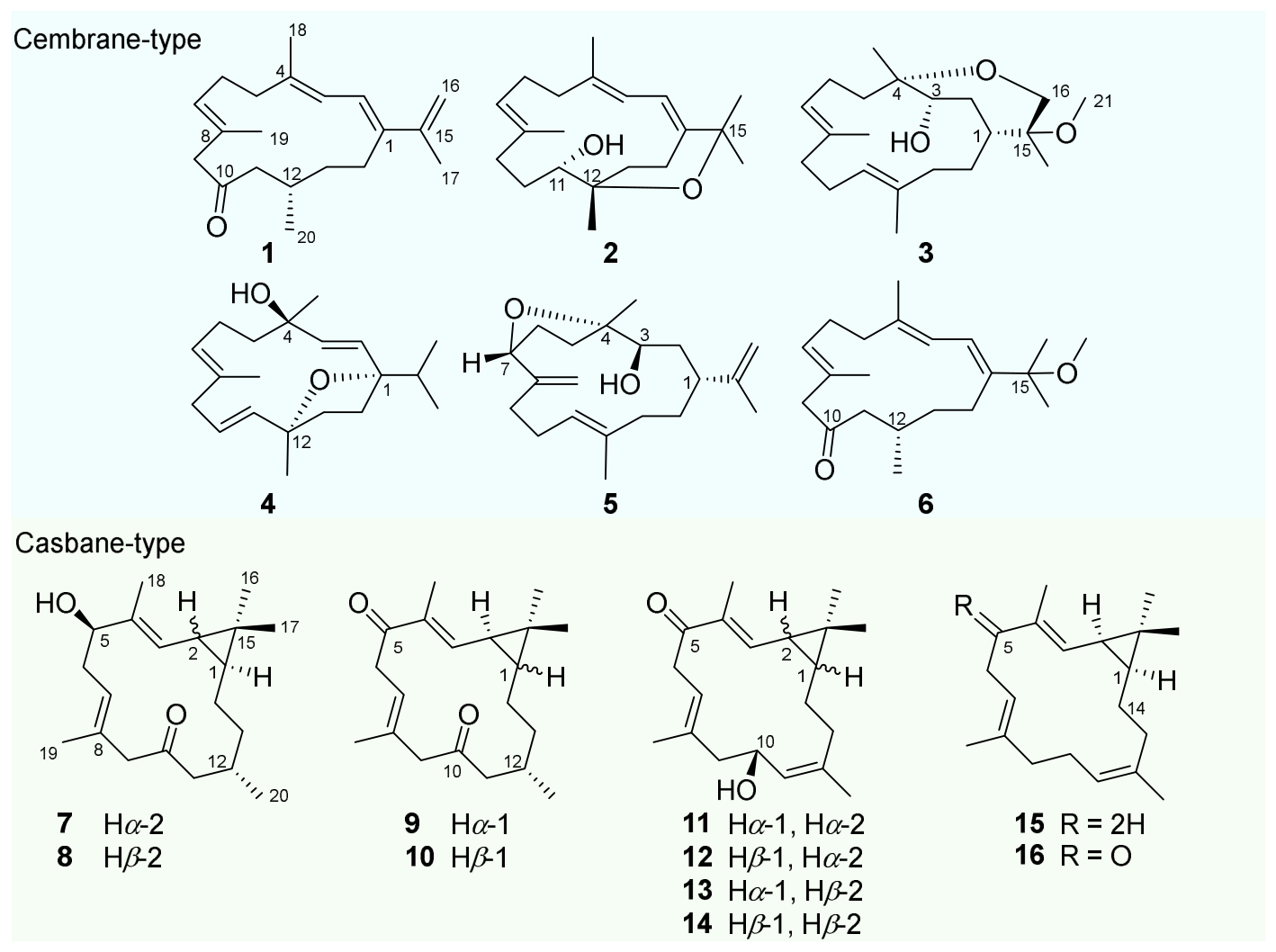Preprints 228869 g001