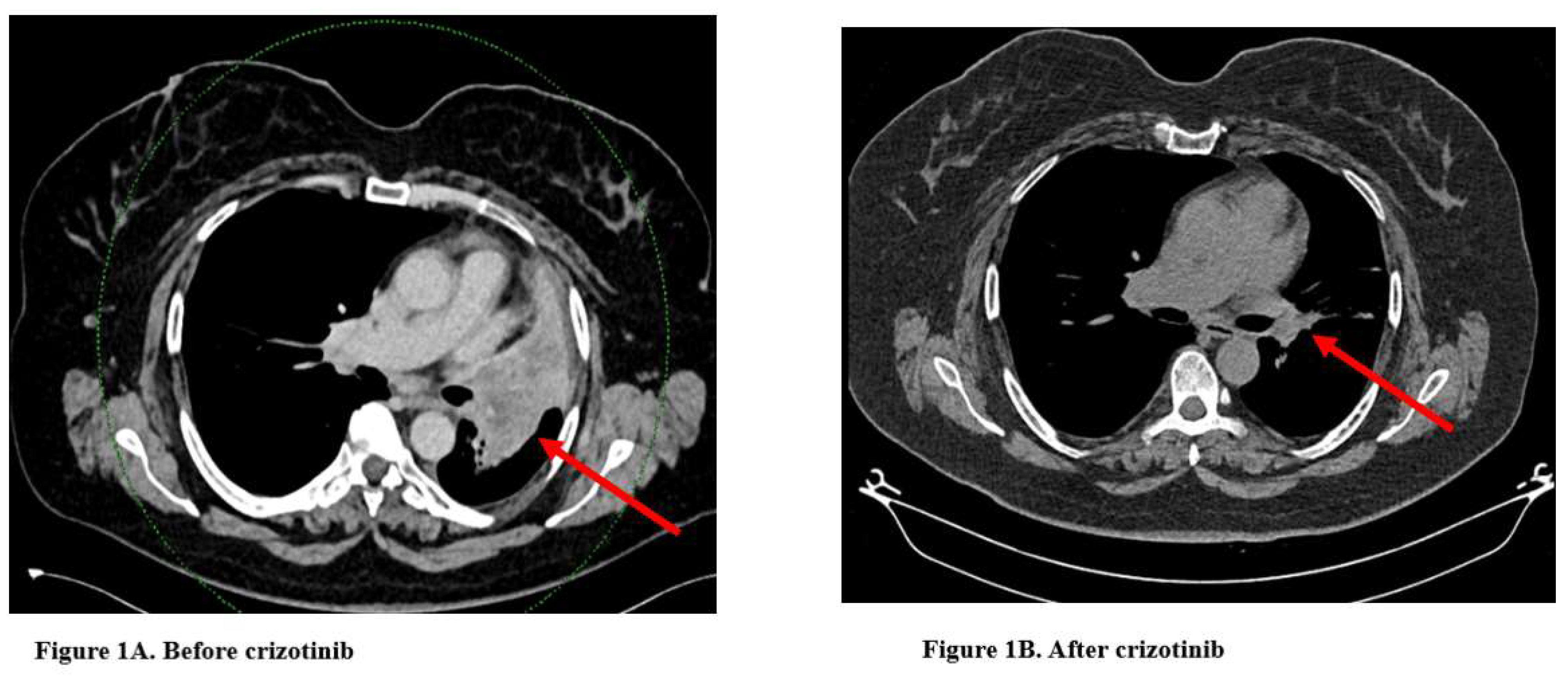 Preprints 151371 g001