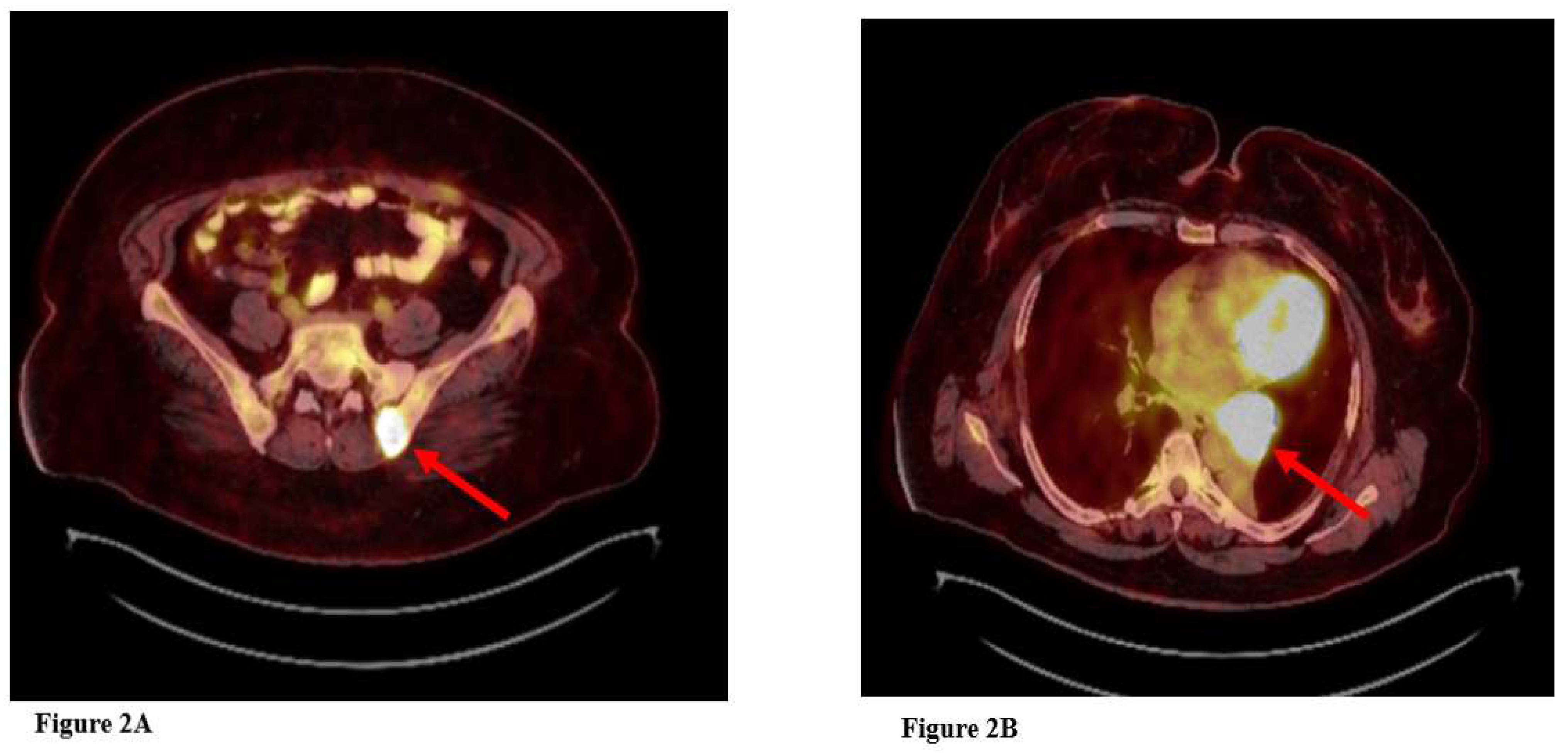 Preprints 151371 g002