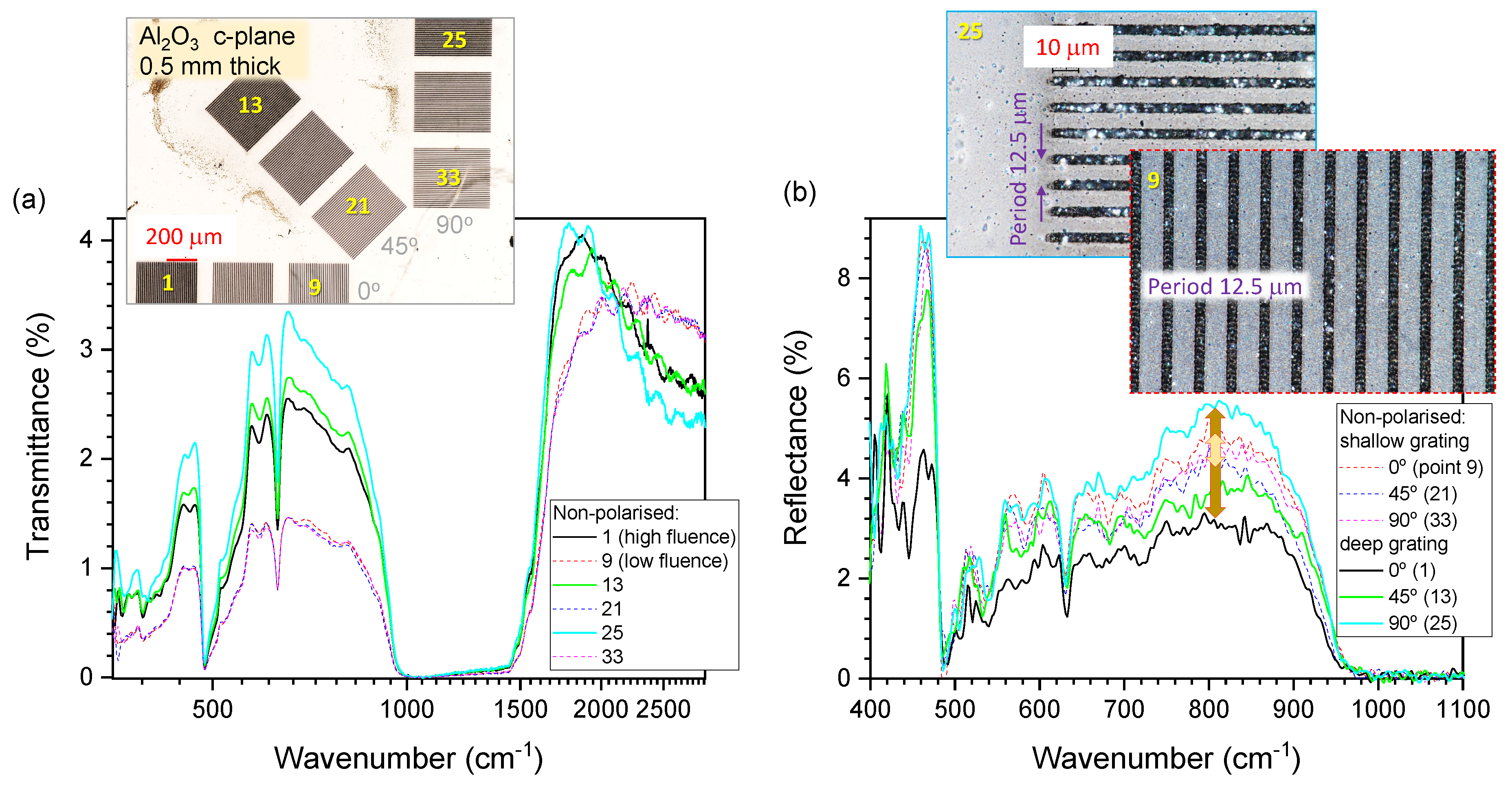 Preprints 148314 g001