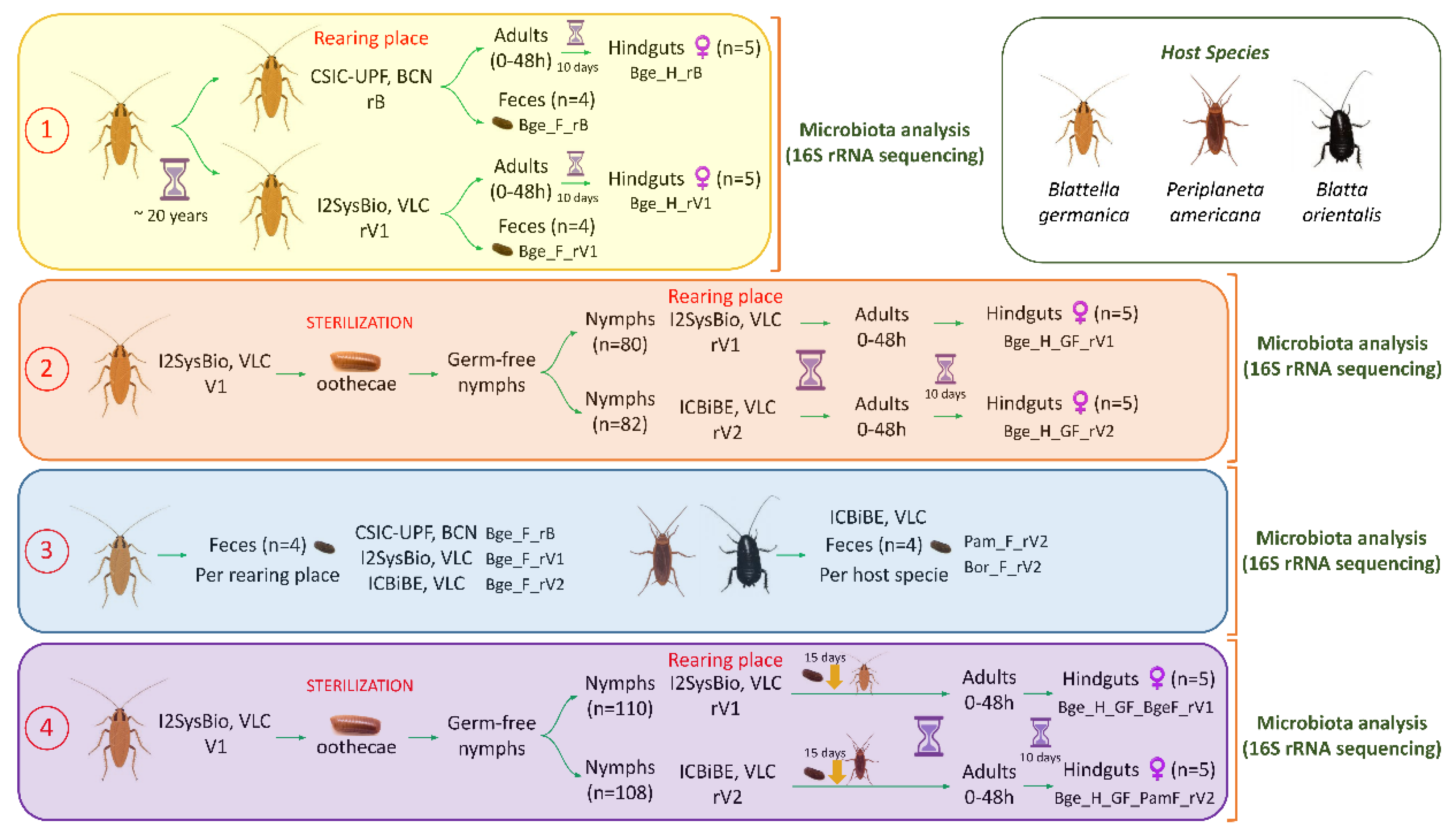 Preprints 206009 g001 Preprints 206009 g001