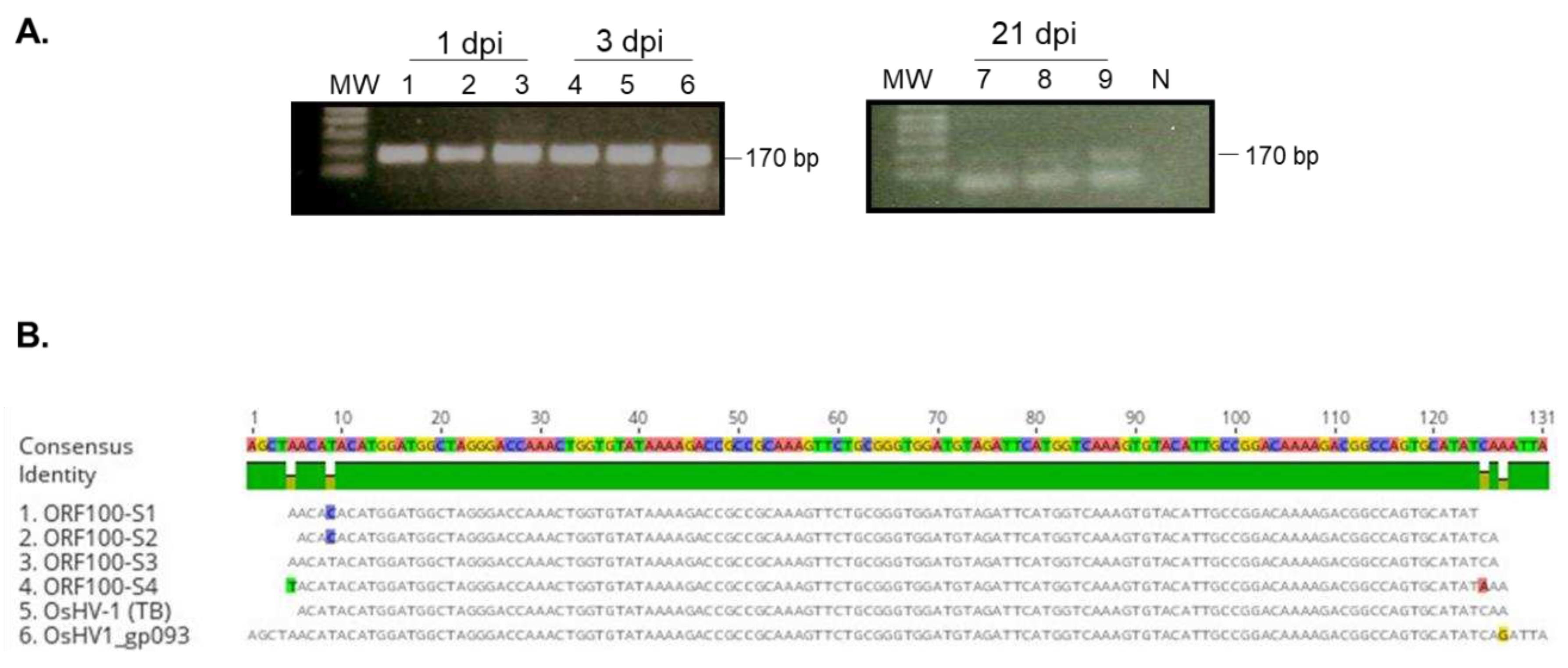 Preprints 77509 g003