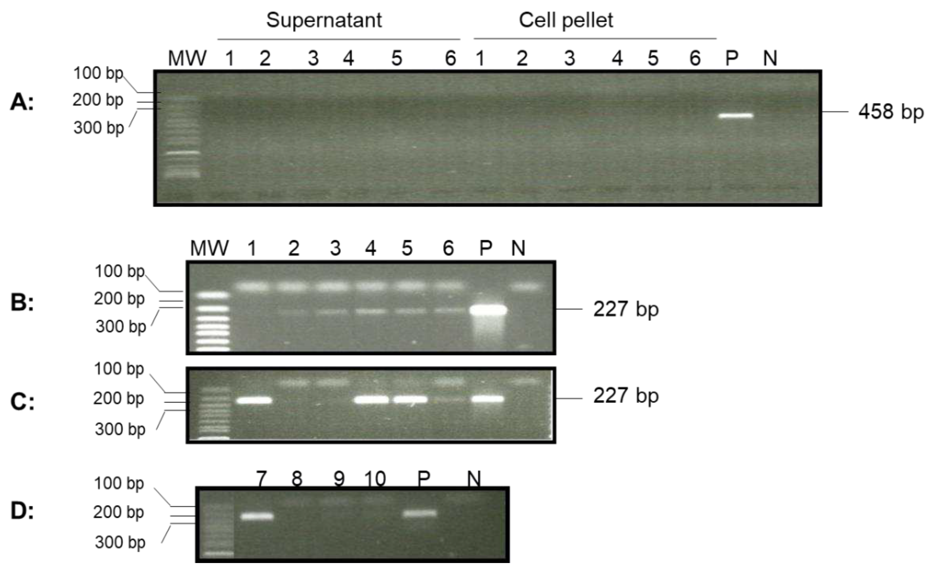 Preprints 77509 g005