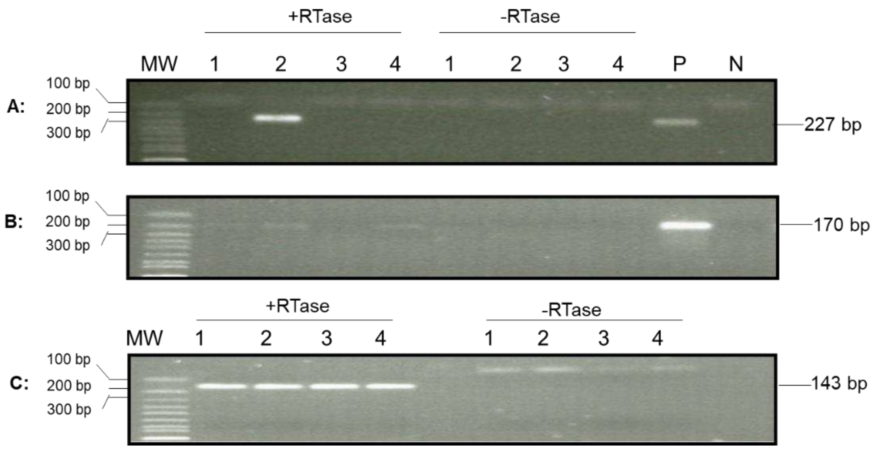 Preprints 77509 g006