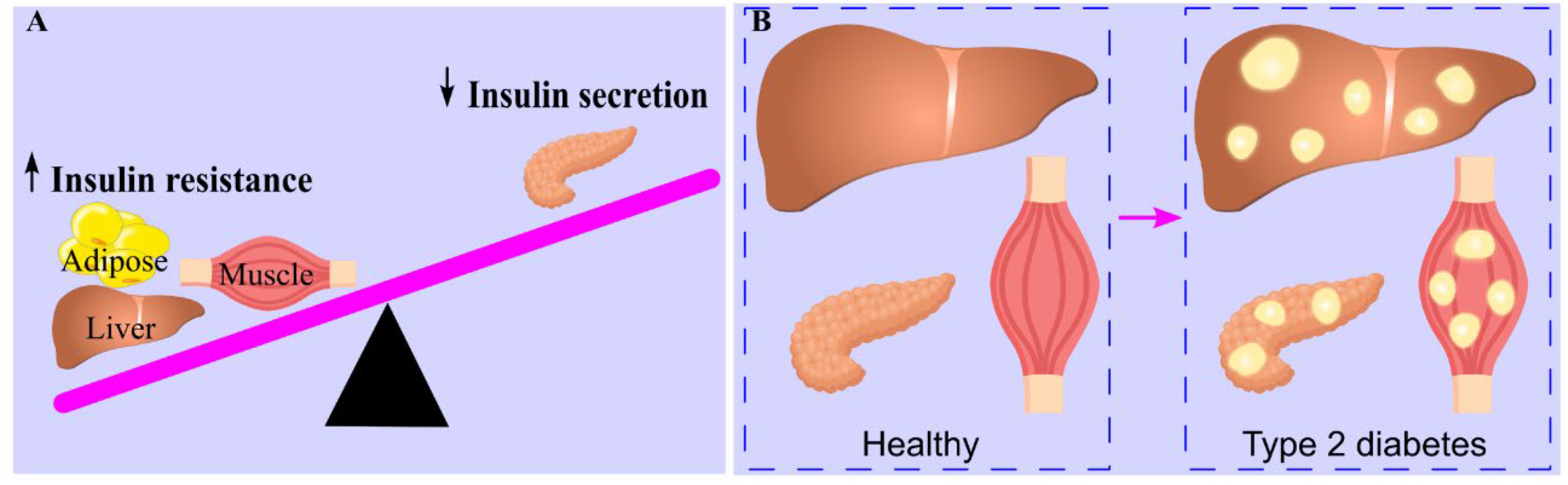 Preprints 174684 g001