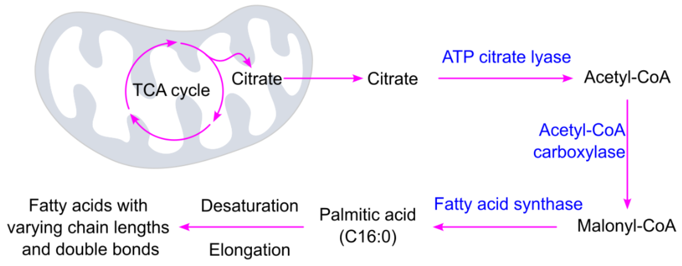 Preprints 174684 g003