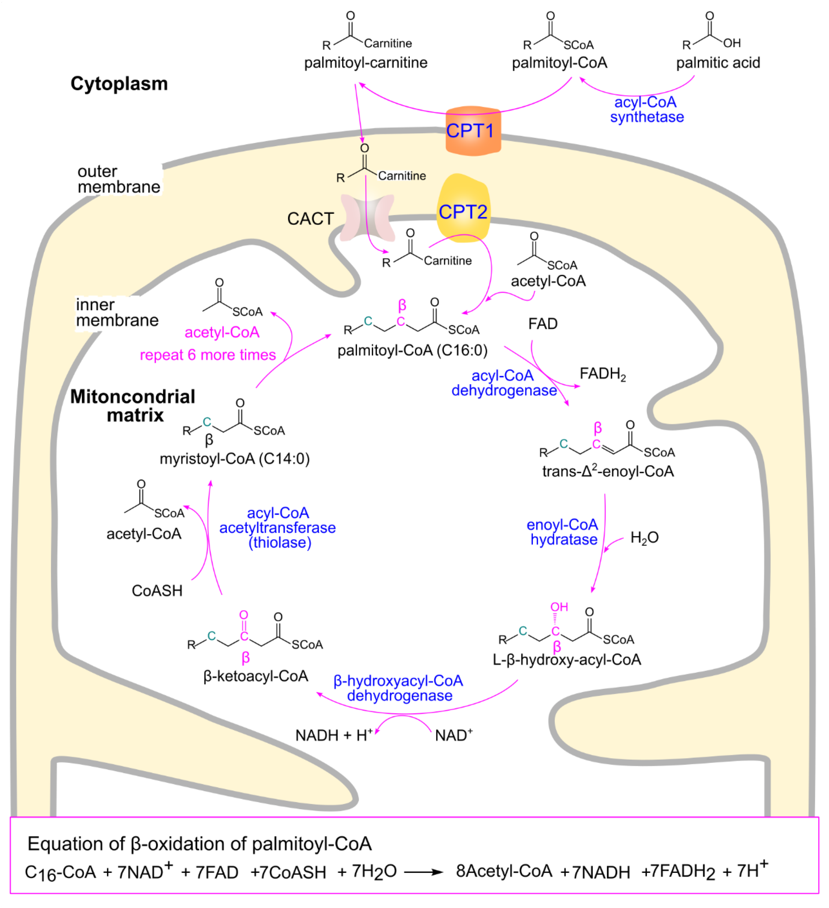 Preprints 174684 g004