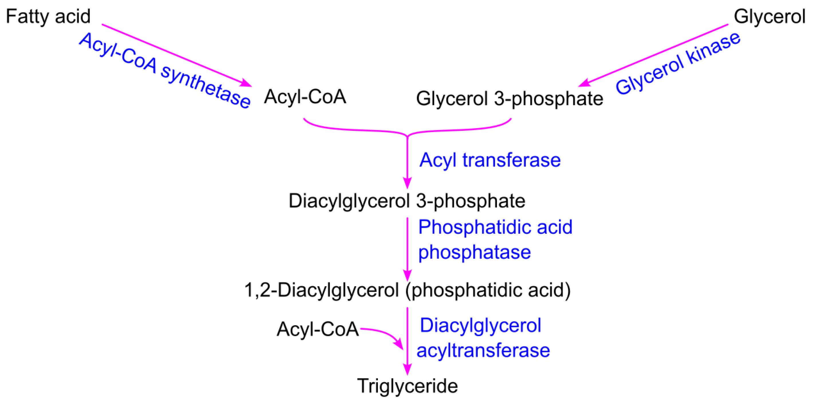 Preprints 174684 g007