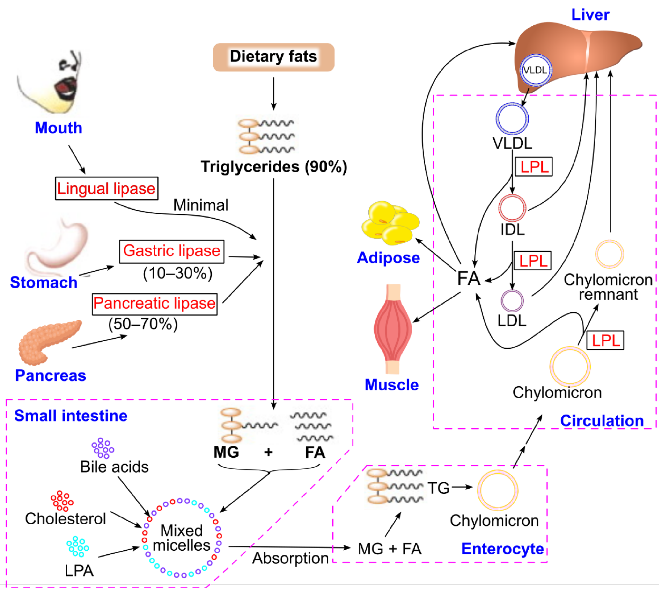 Preprints 174684 g008