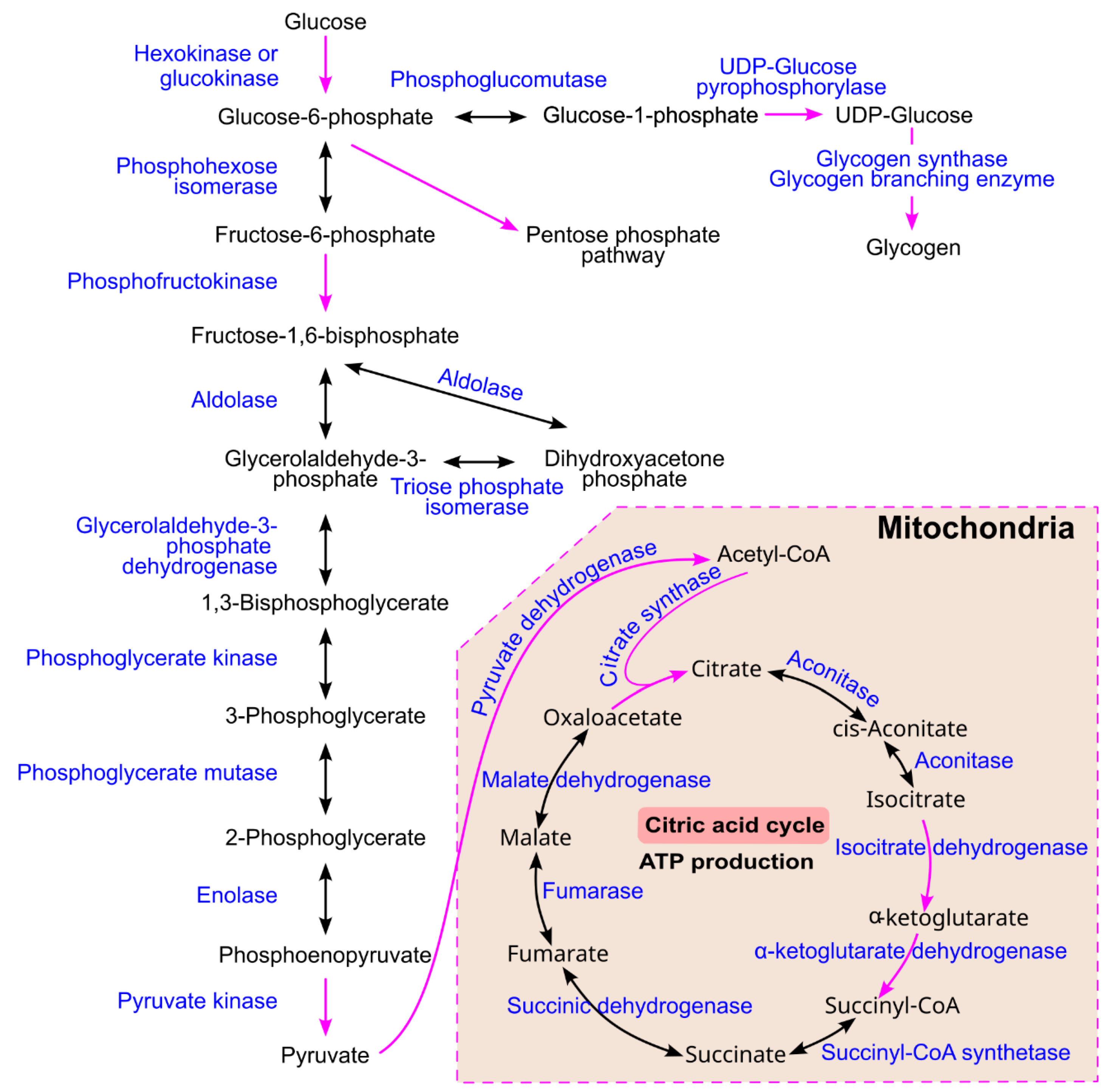 Preprints 174684 g009