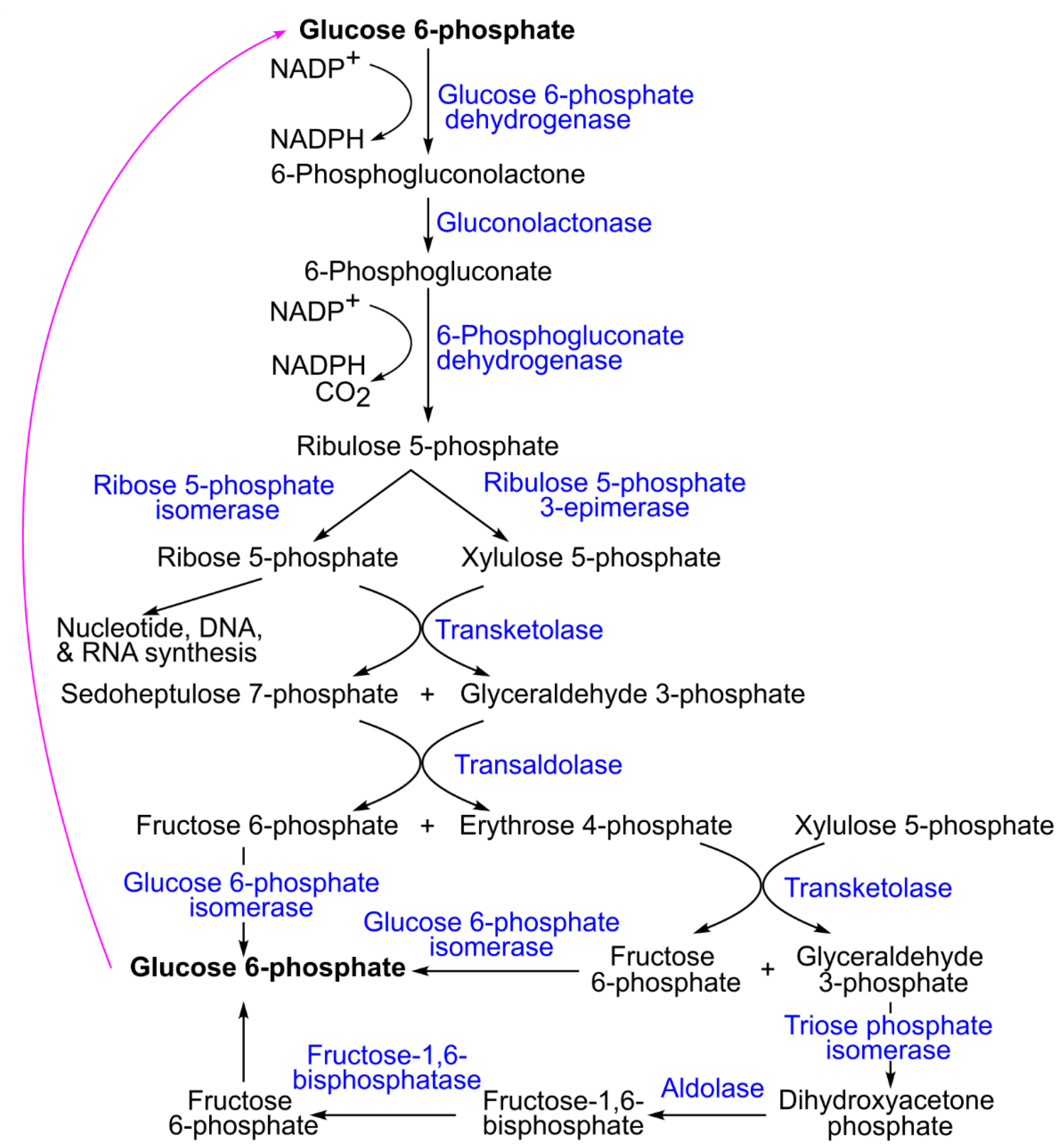 Preprints 174684 g010