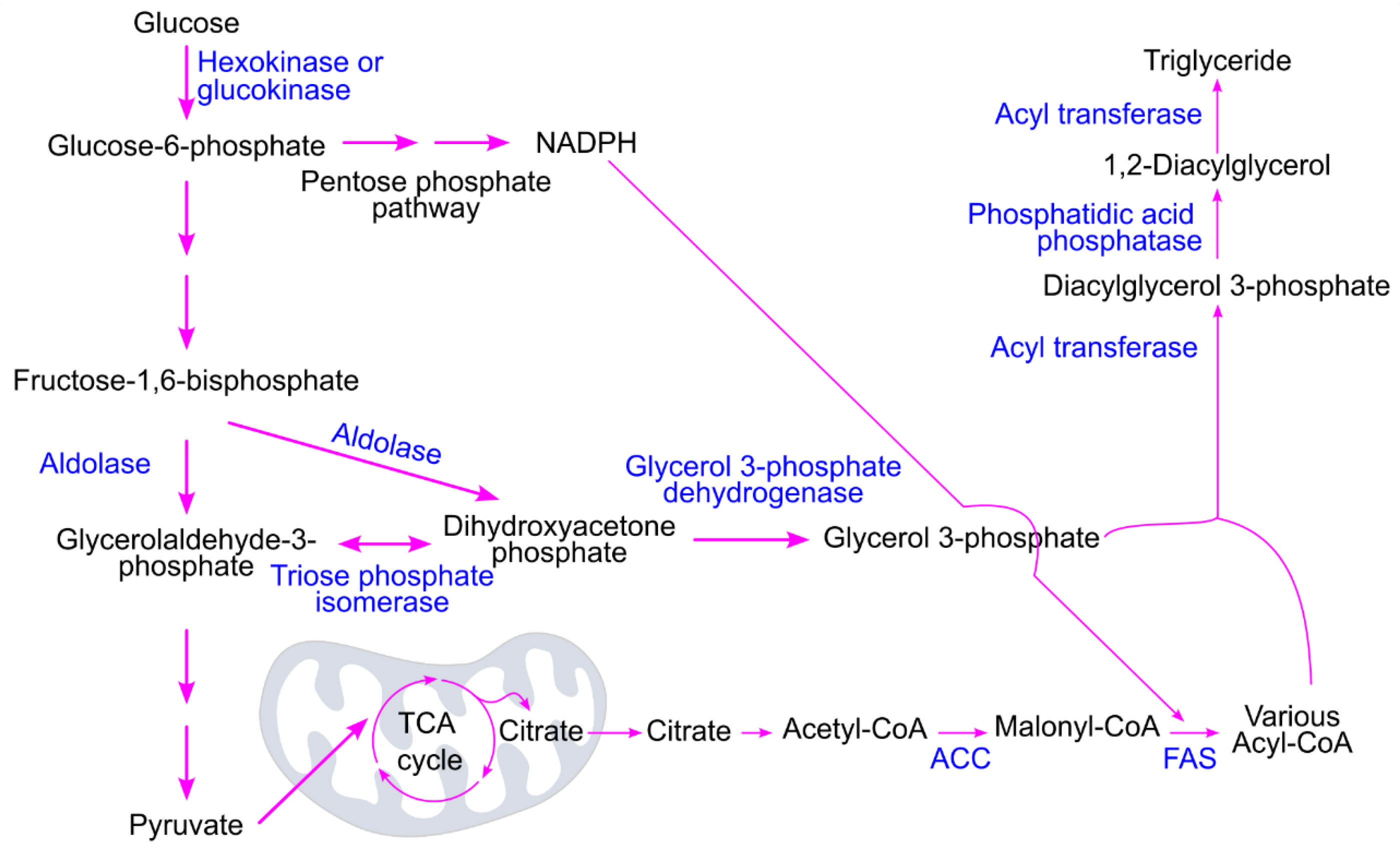 Preprints 174684 g011