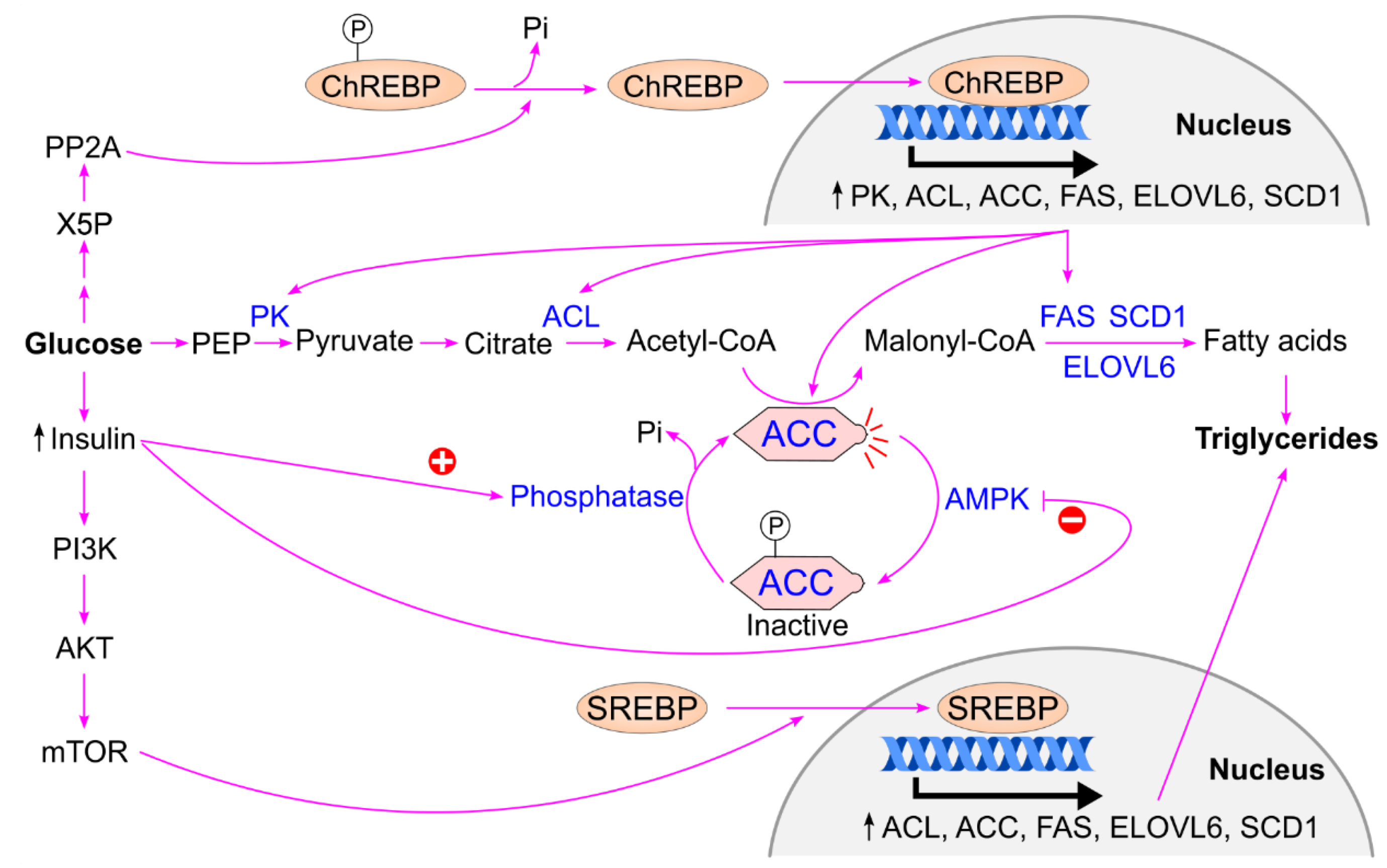 Preprints 174684 g013