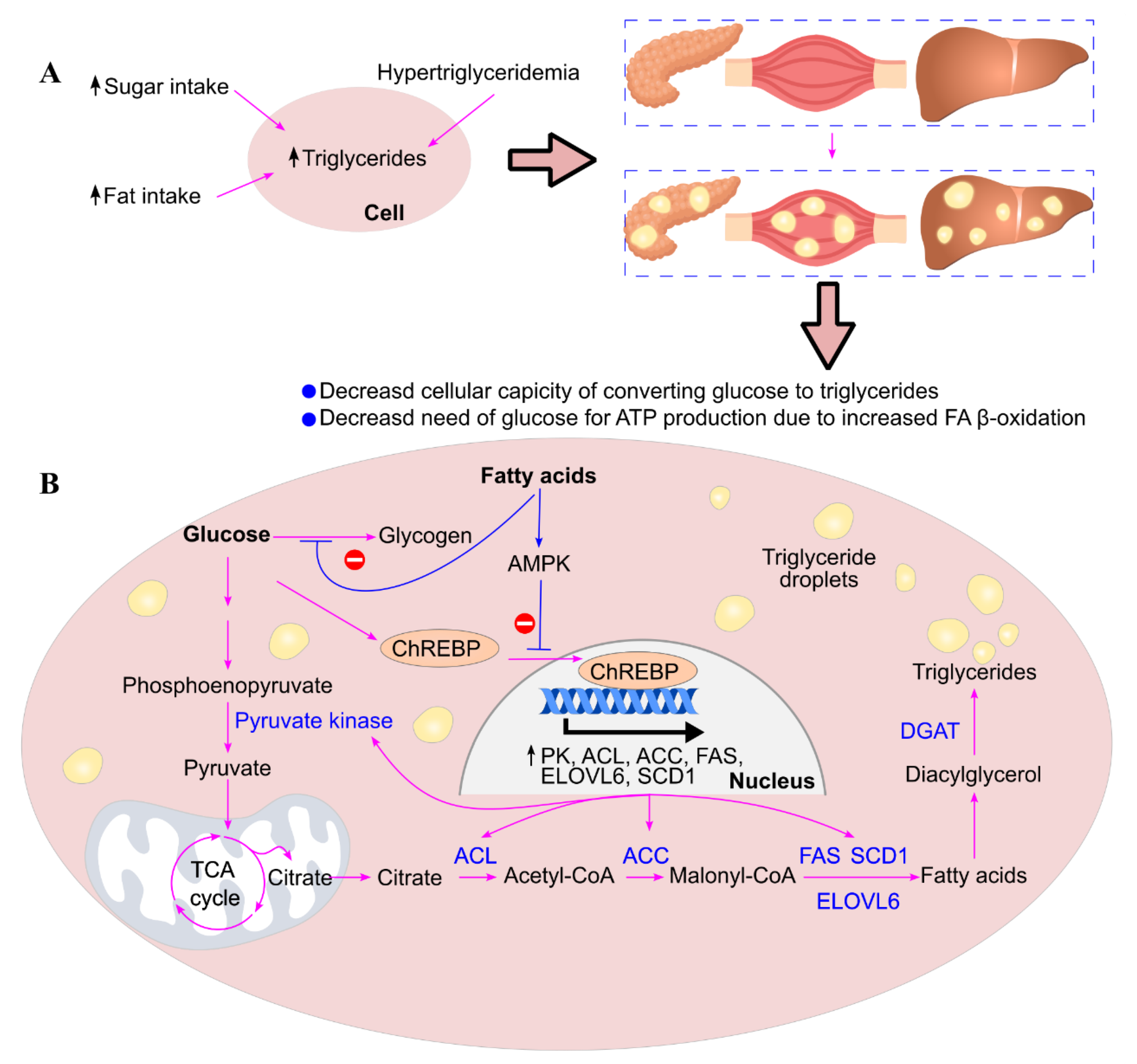 Preprints 174684 g015