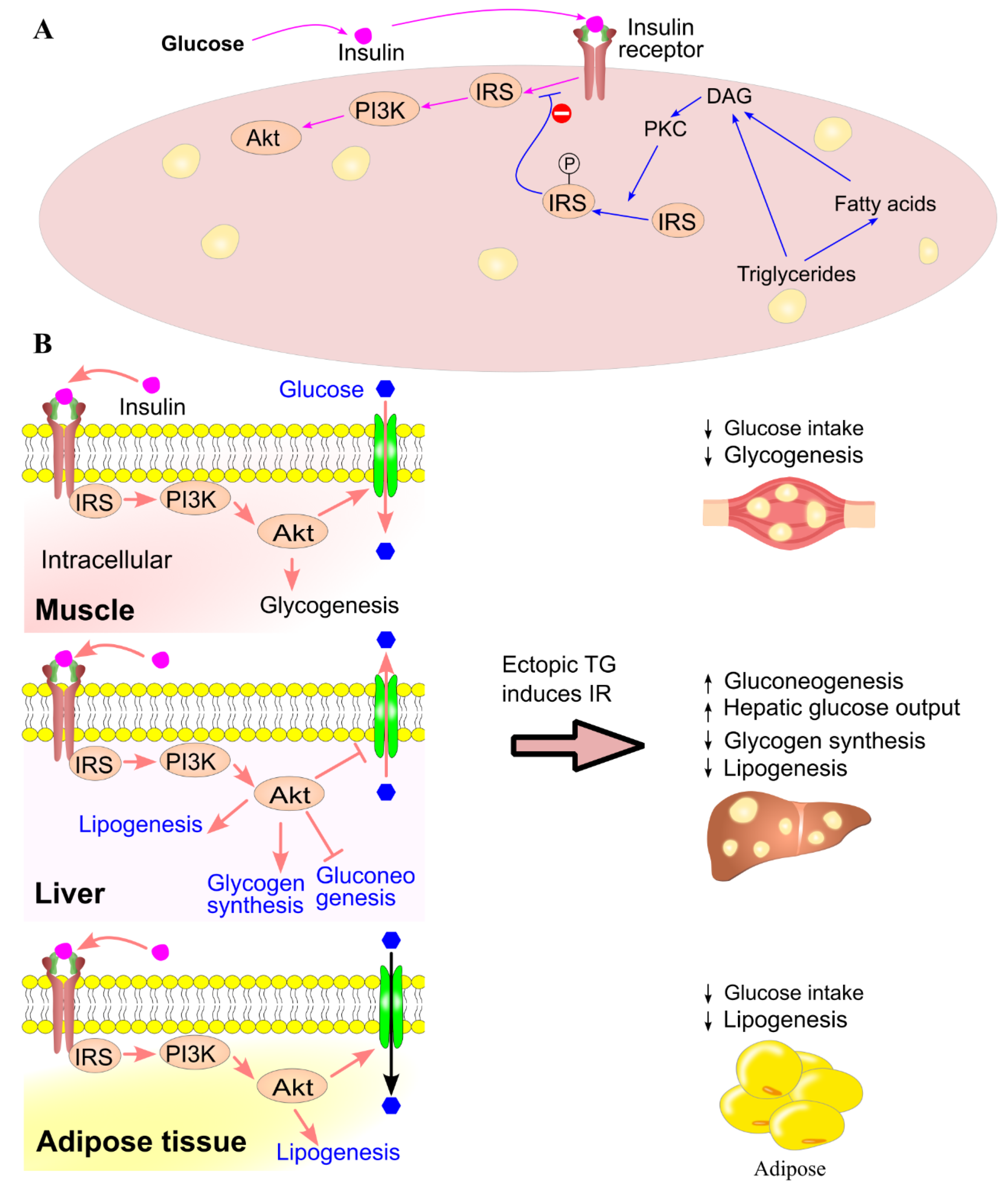 Preprints 174684 g016
