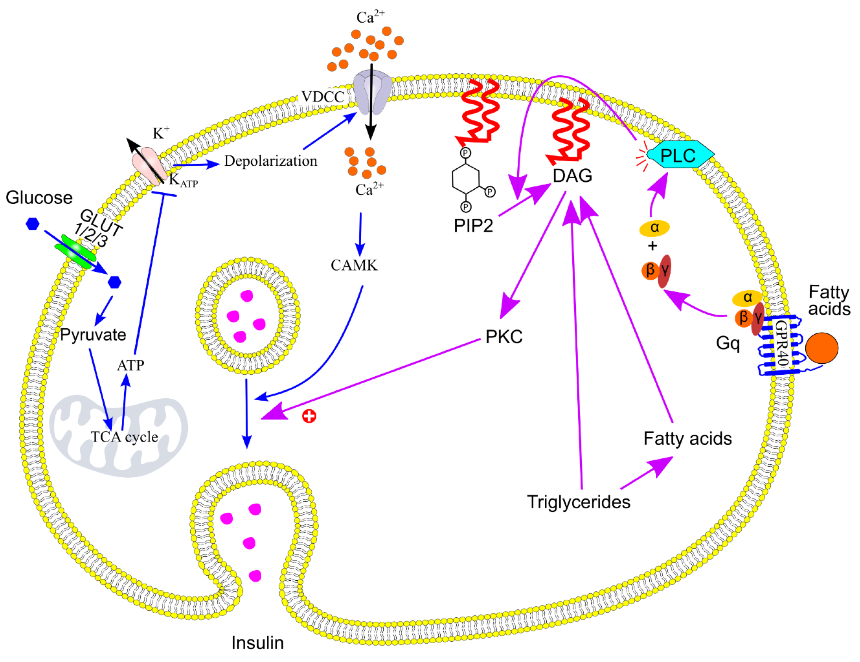 Preprints 174684 g017