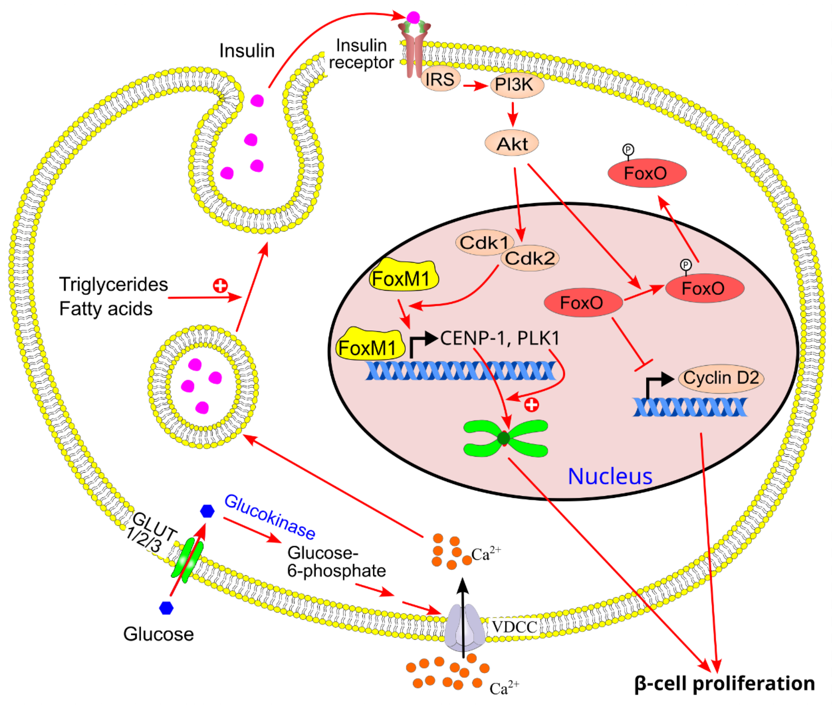 Preprints 174684 g018