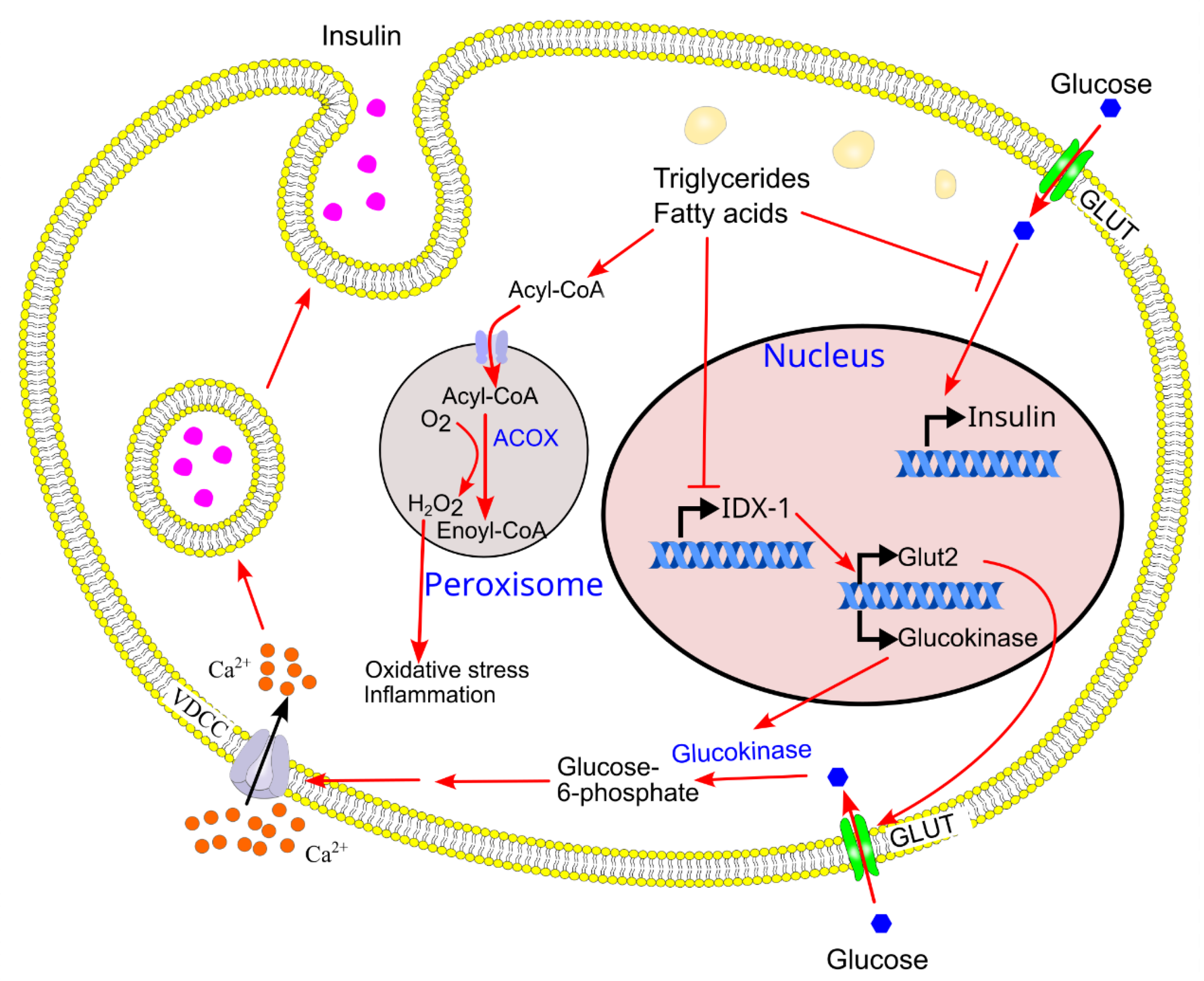 Preprints 174684 g019