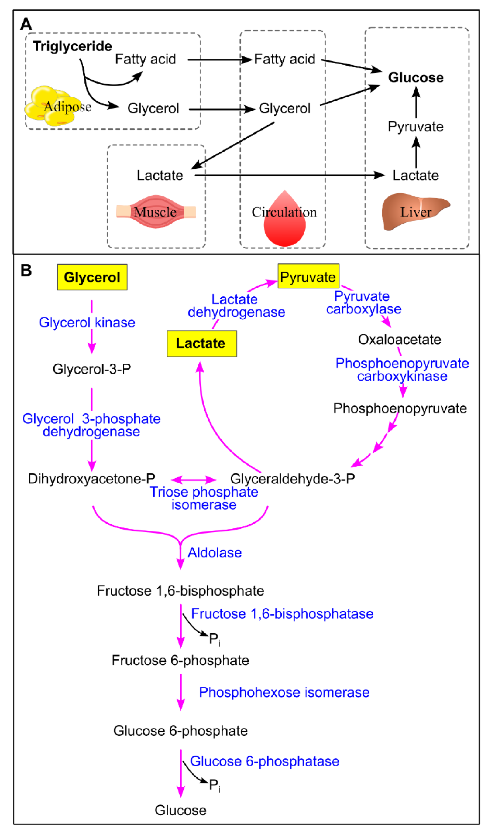 Preprints 174684 g020