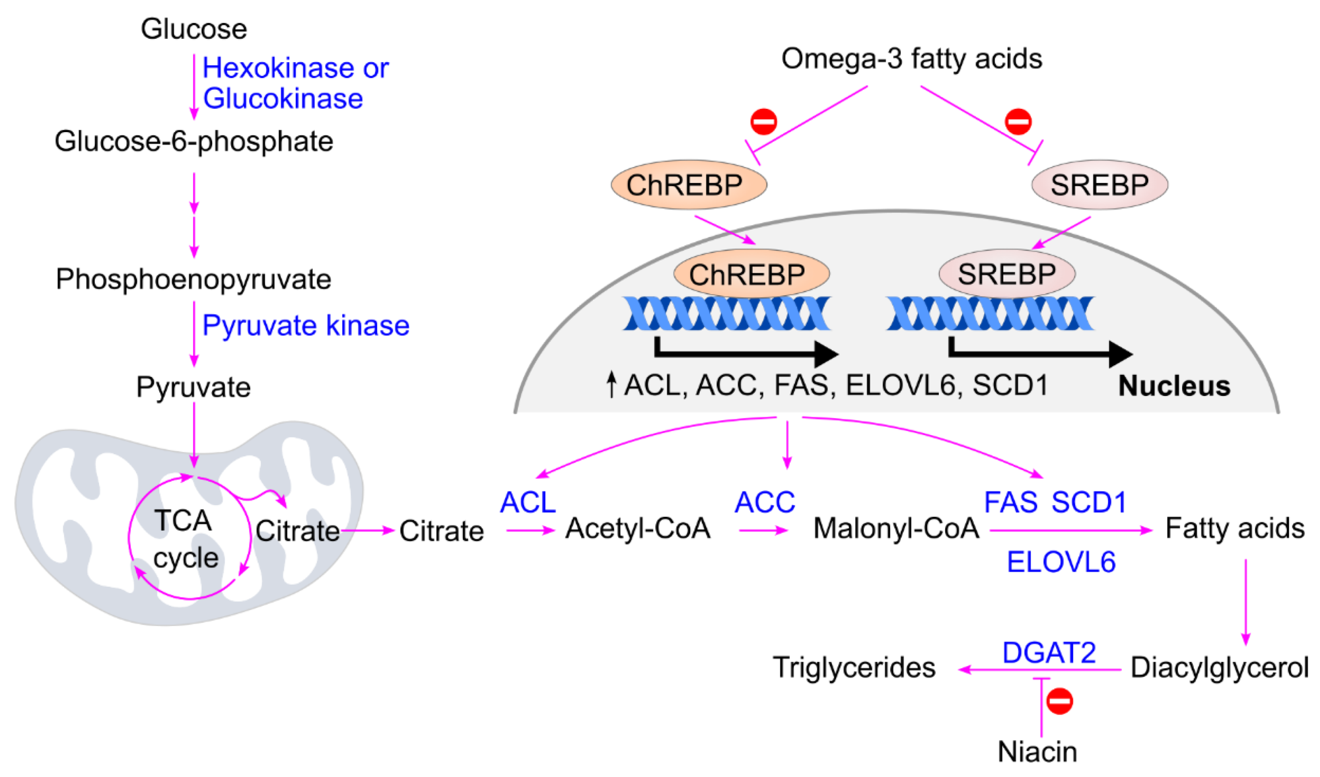 Preprints 174684 g024