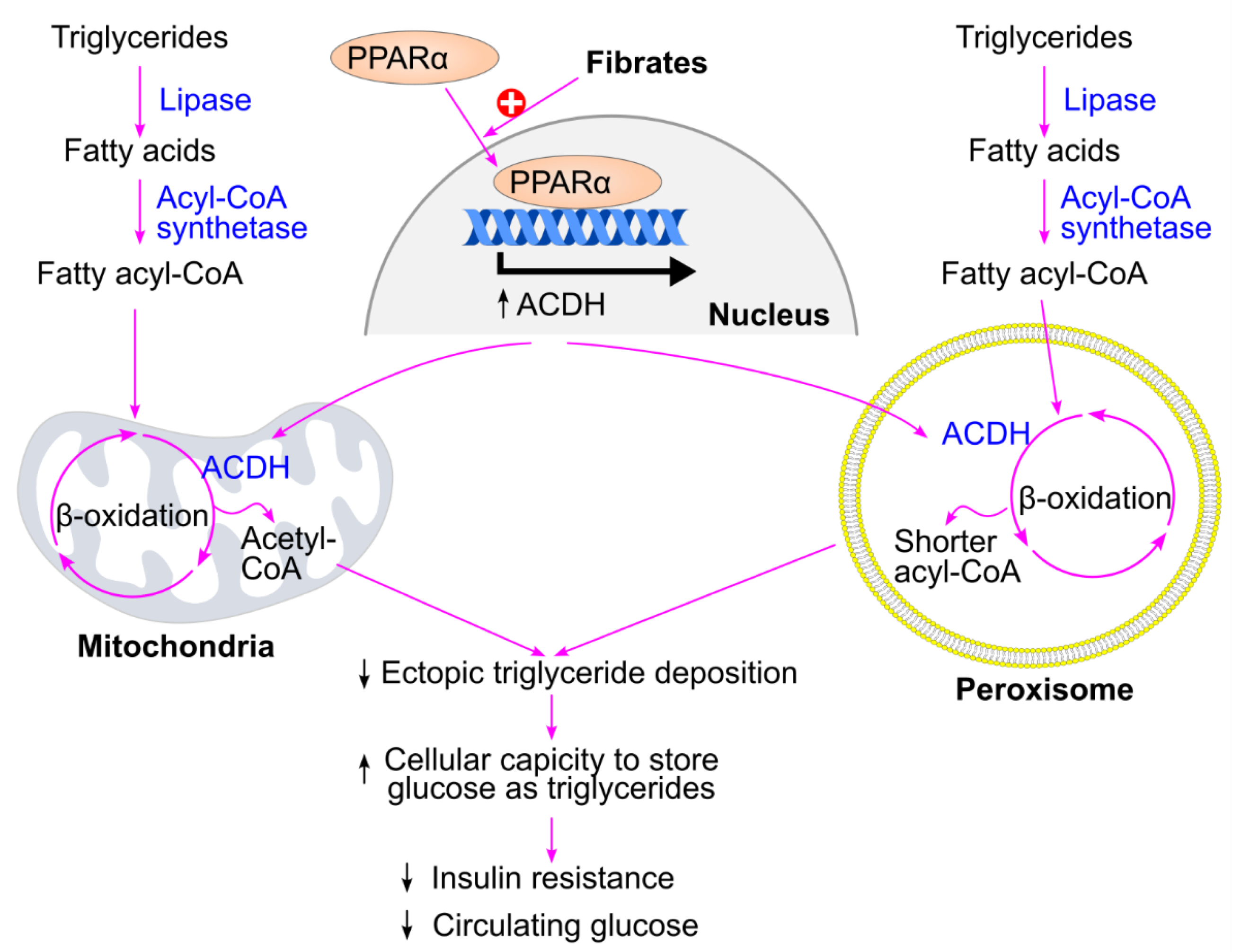 Preprints 174684 g025