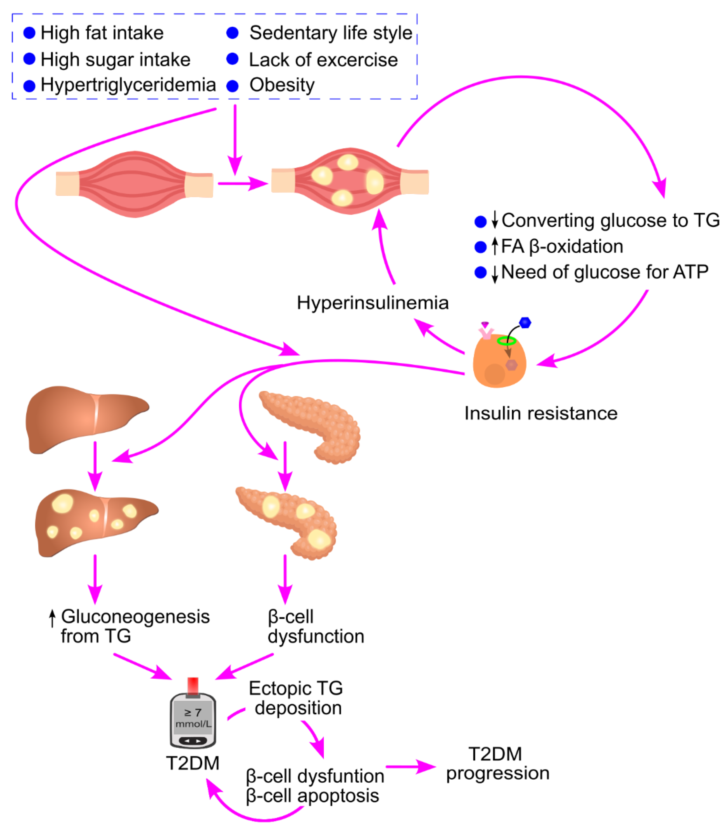 Preprints 174684 g026