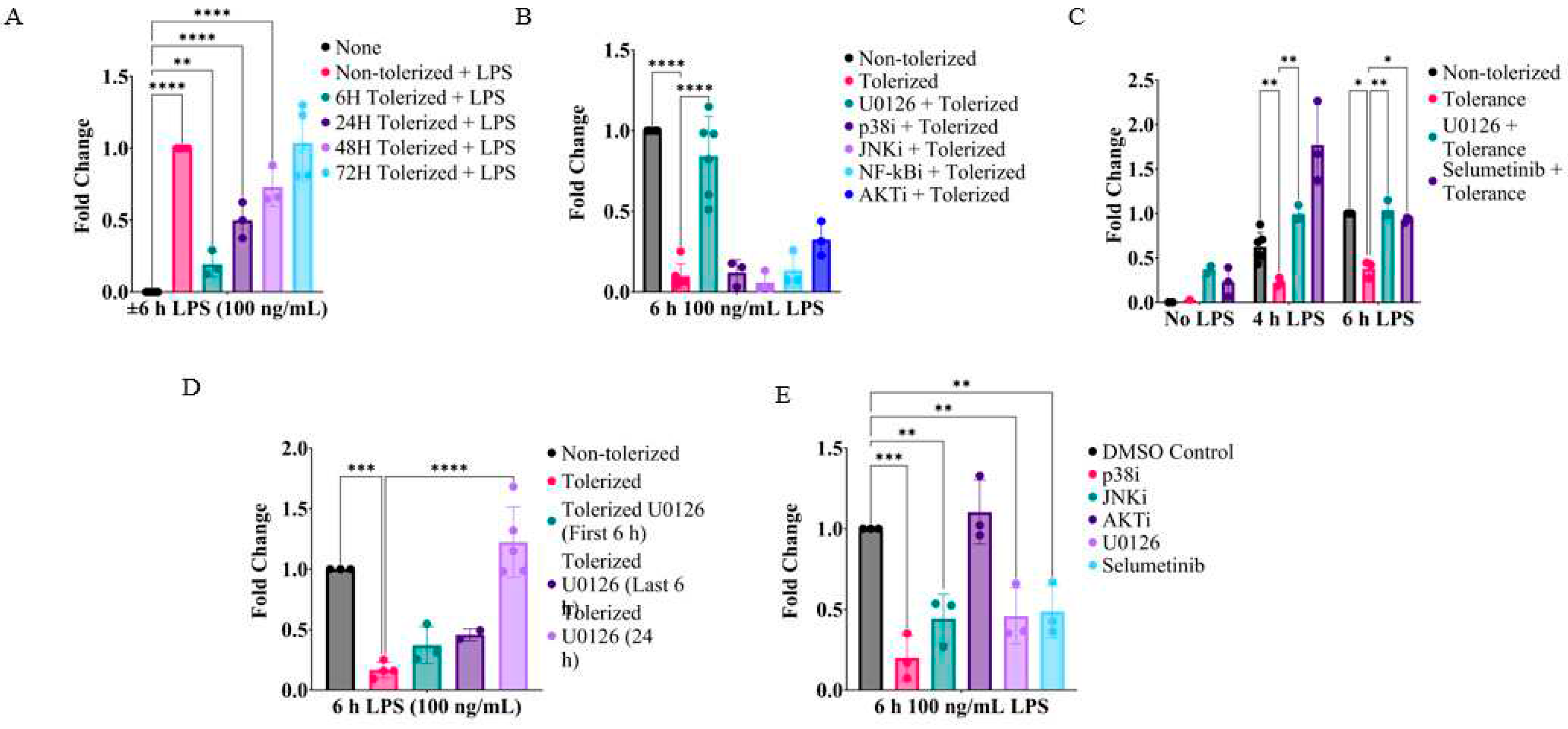 Preprints 83160 g001