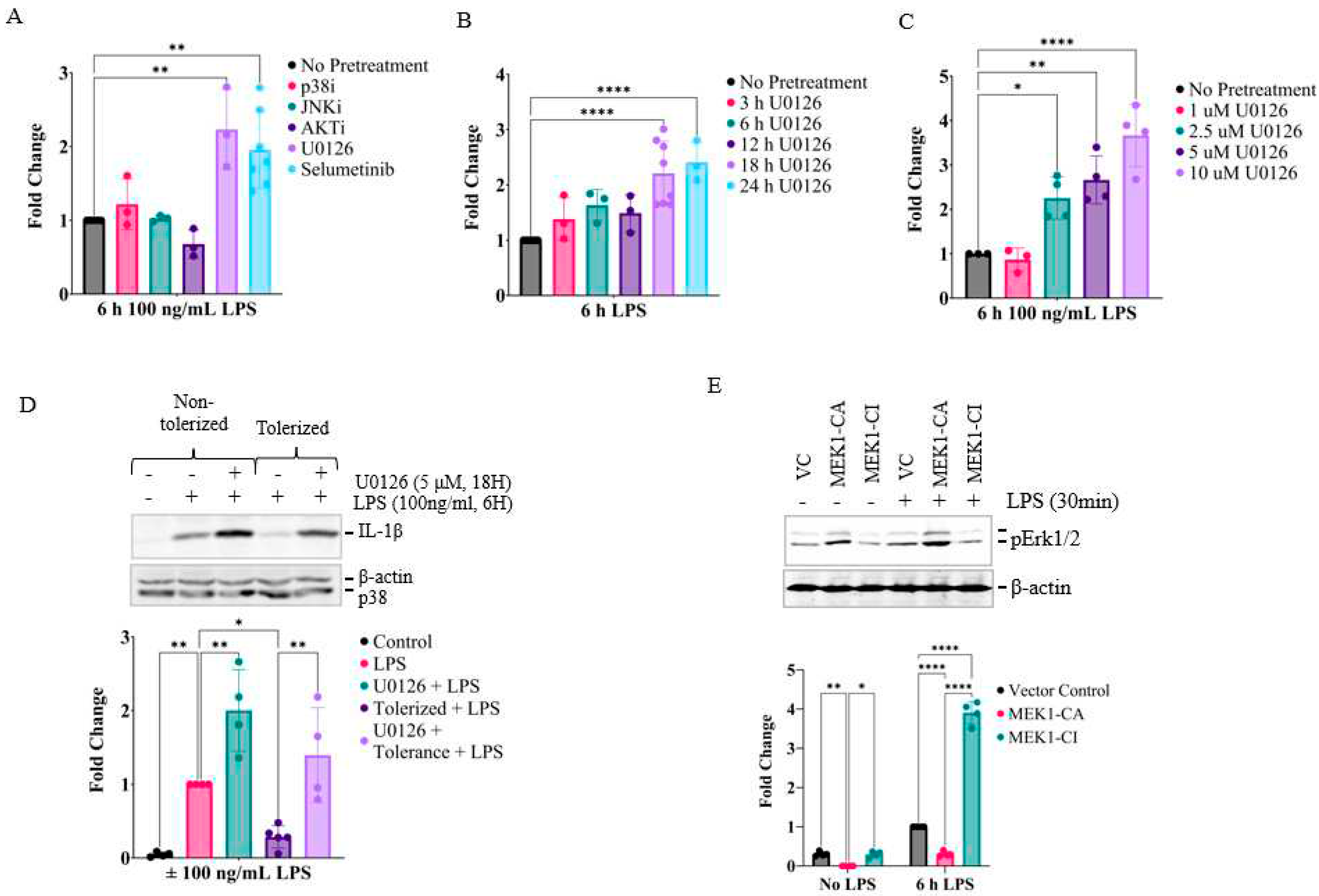 Preprints 83160 g002