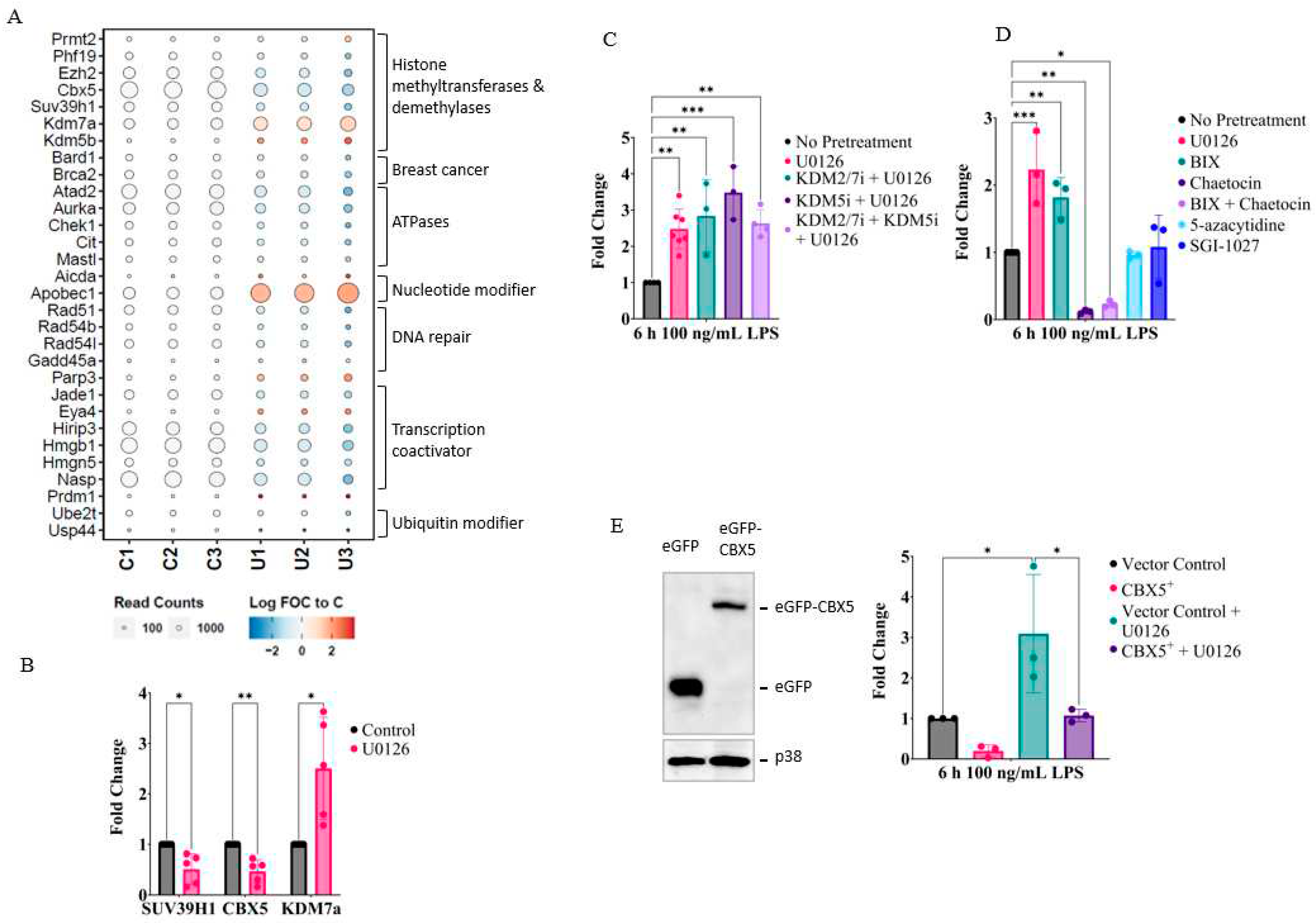 Preprints 83160 g004