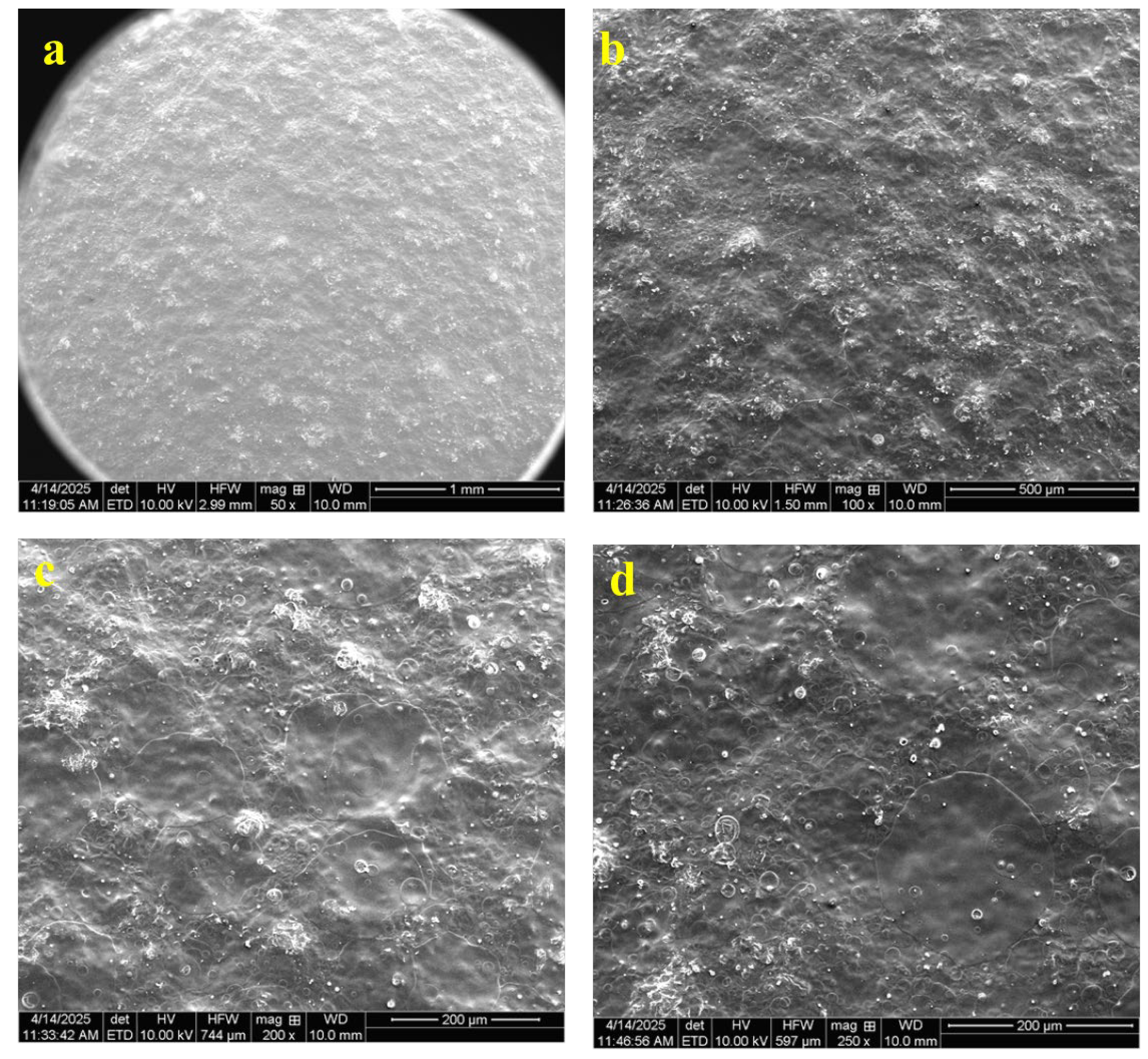 Preprints 172493 g005
