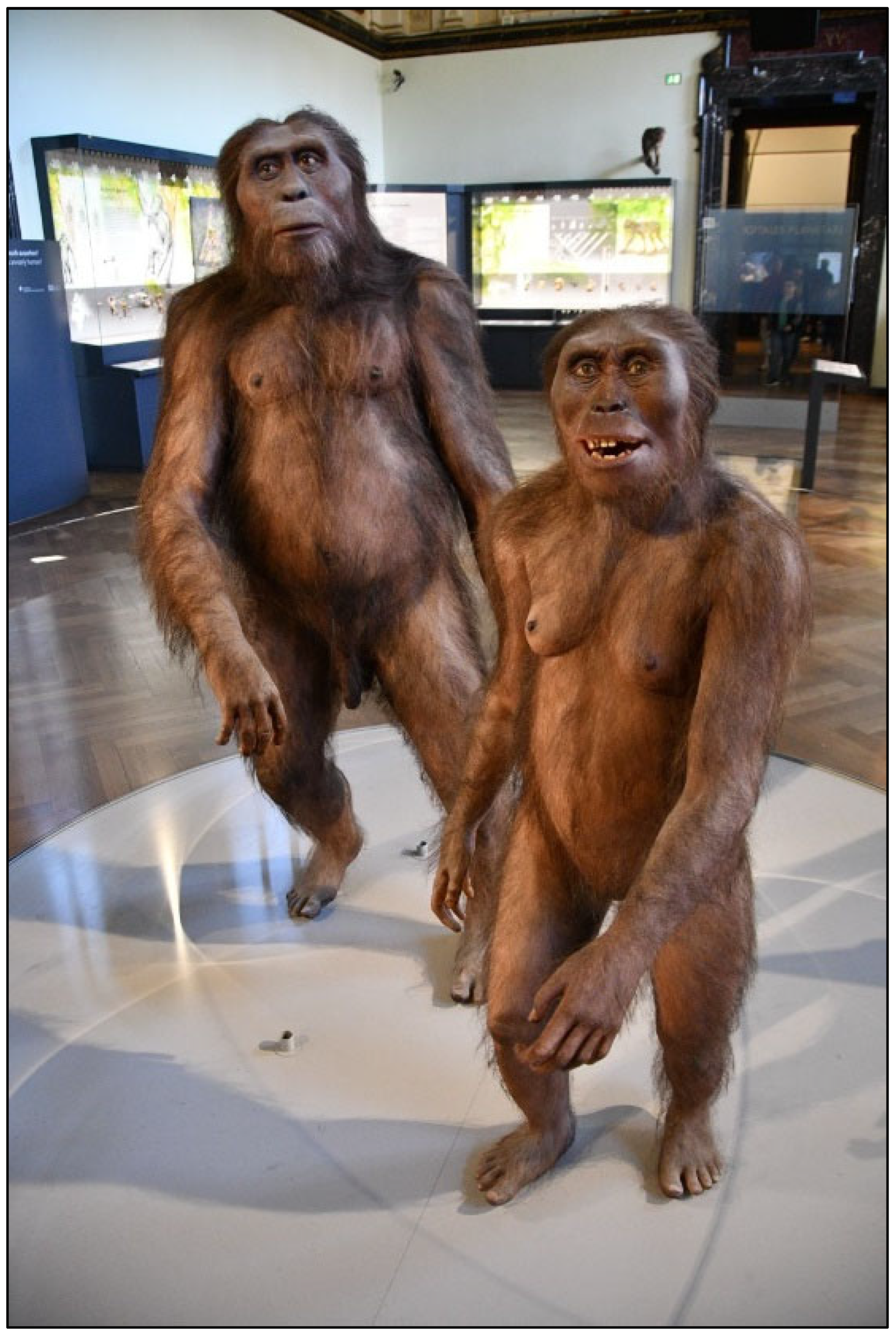 Preprints 158403 g002