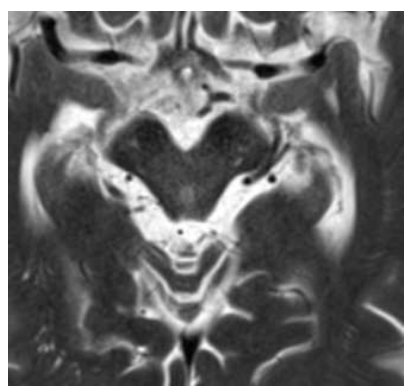 Preprints 149335 g002