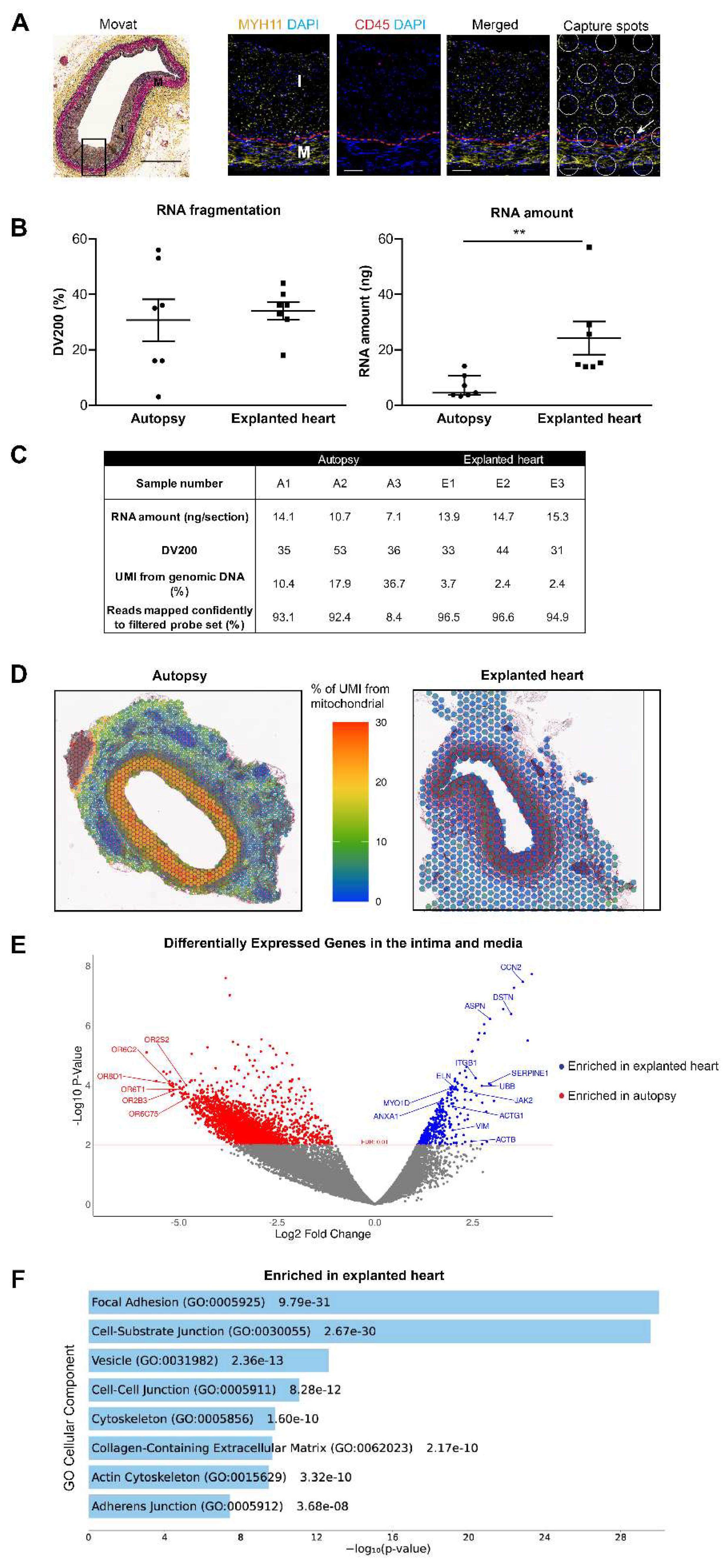 Preprints 147370 g001