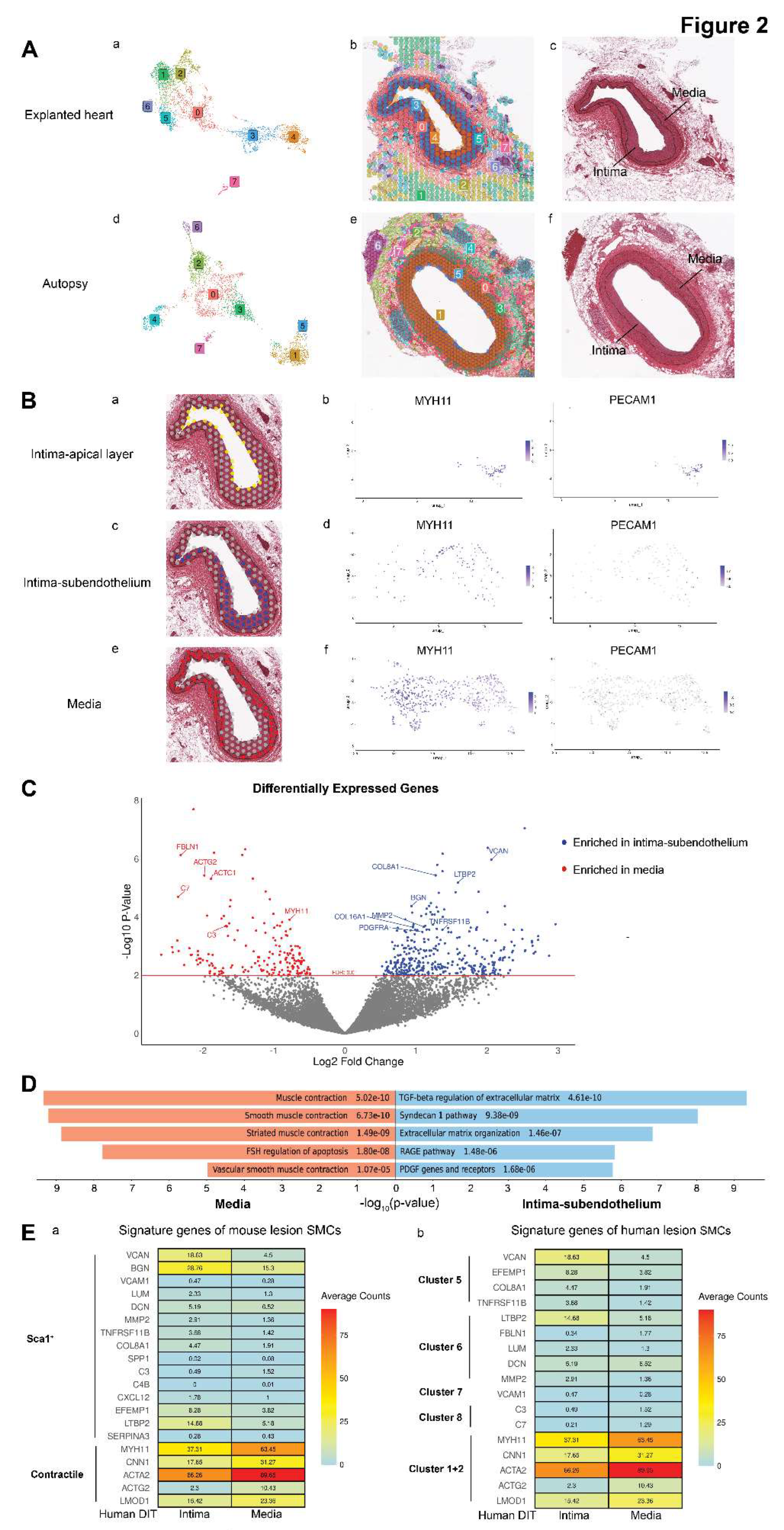 Preprints 147370 g002