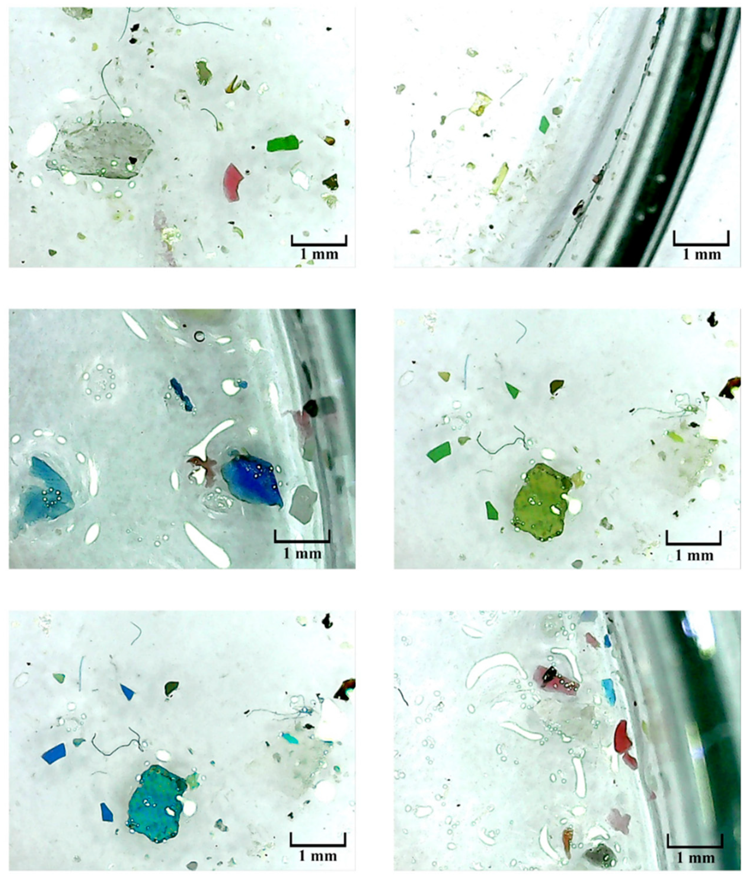 Preprints 100649 g002
