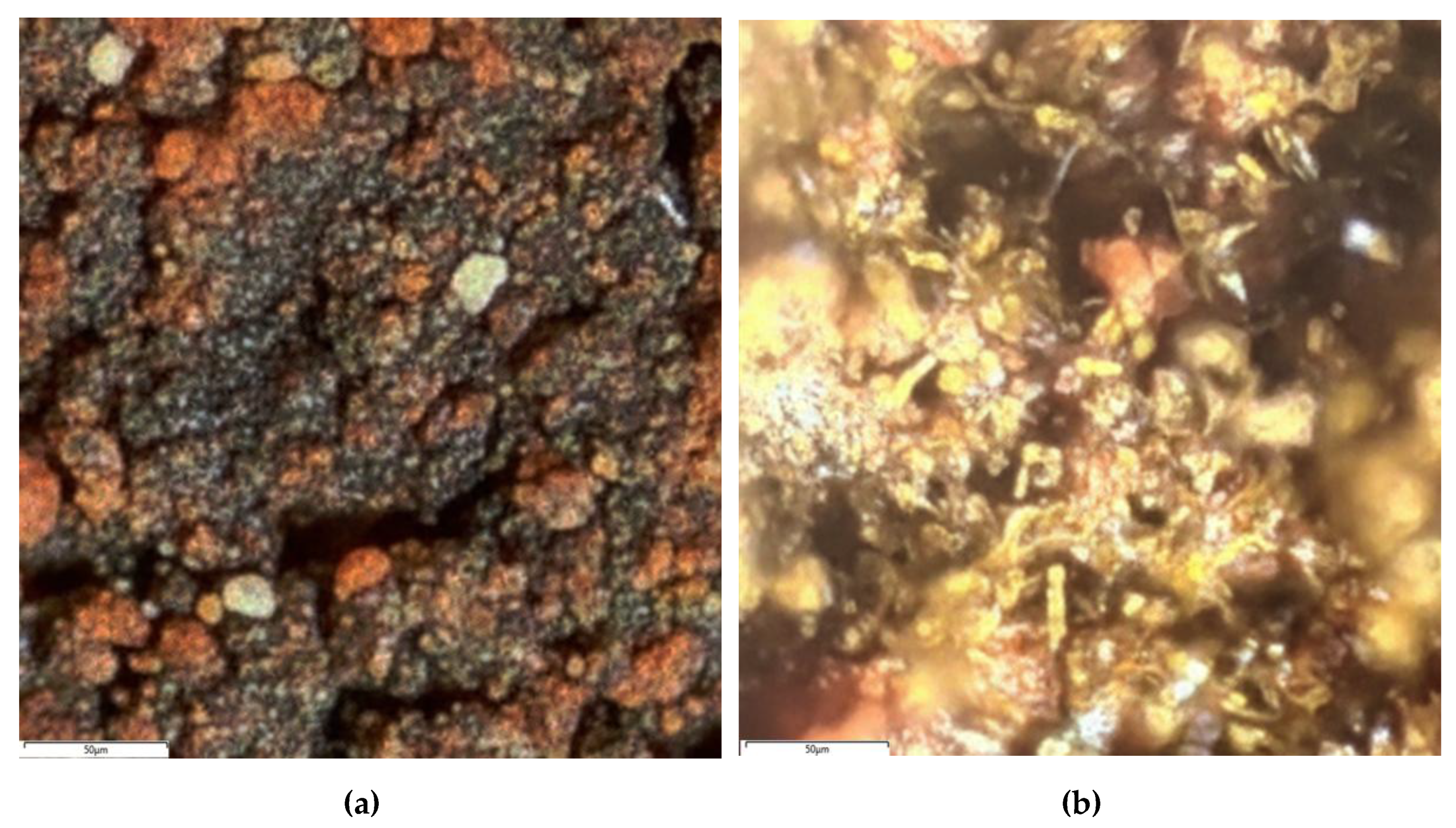 Preprints 186862 g009