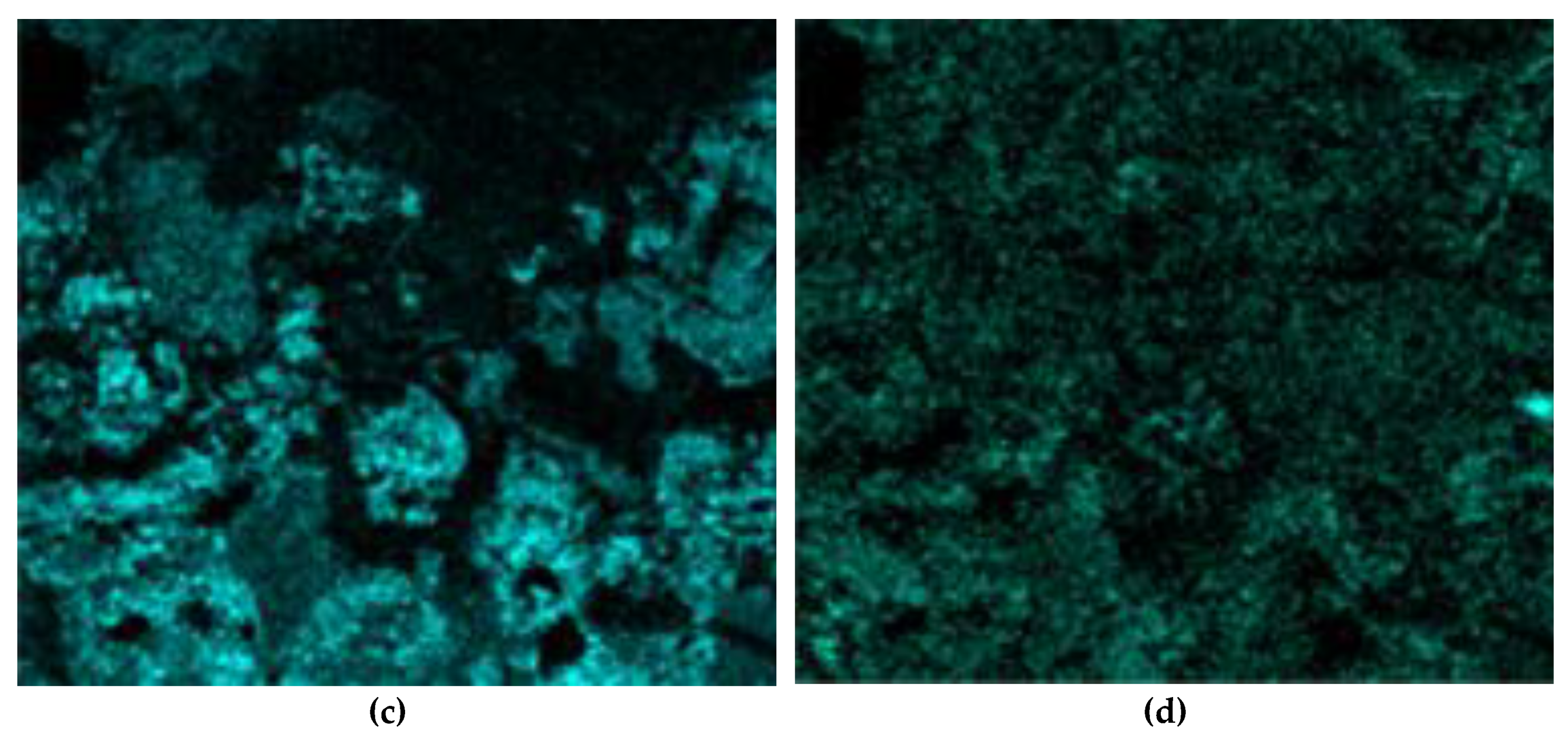 Preprints 186862 g010b