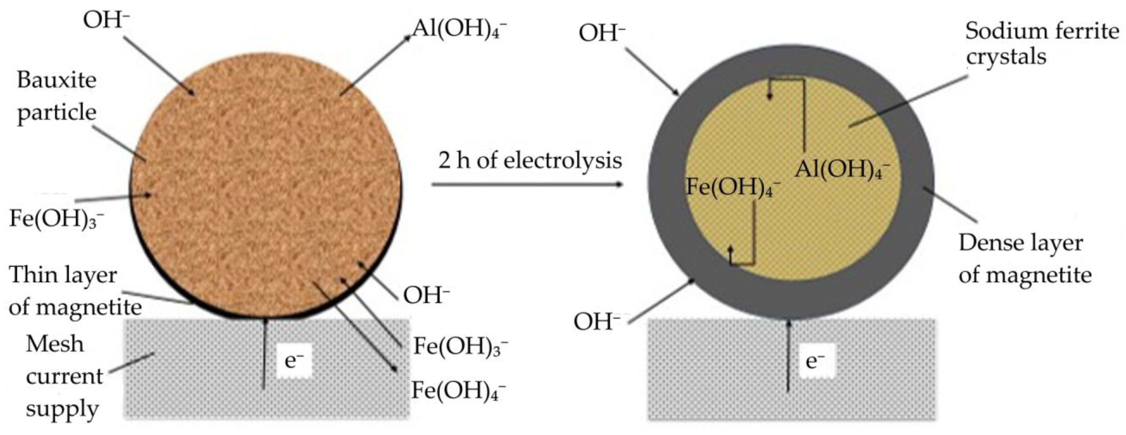 Preprints 186862 g011