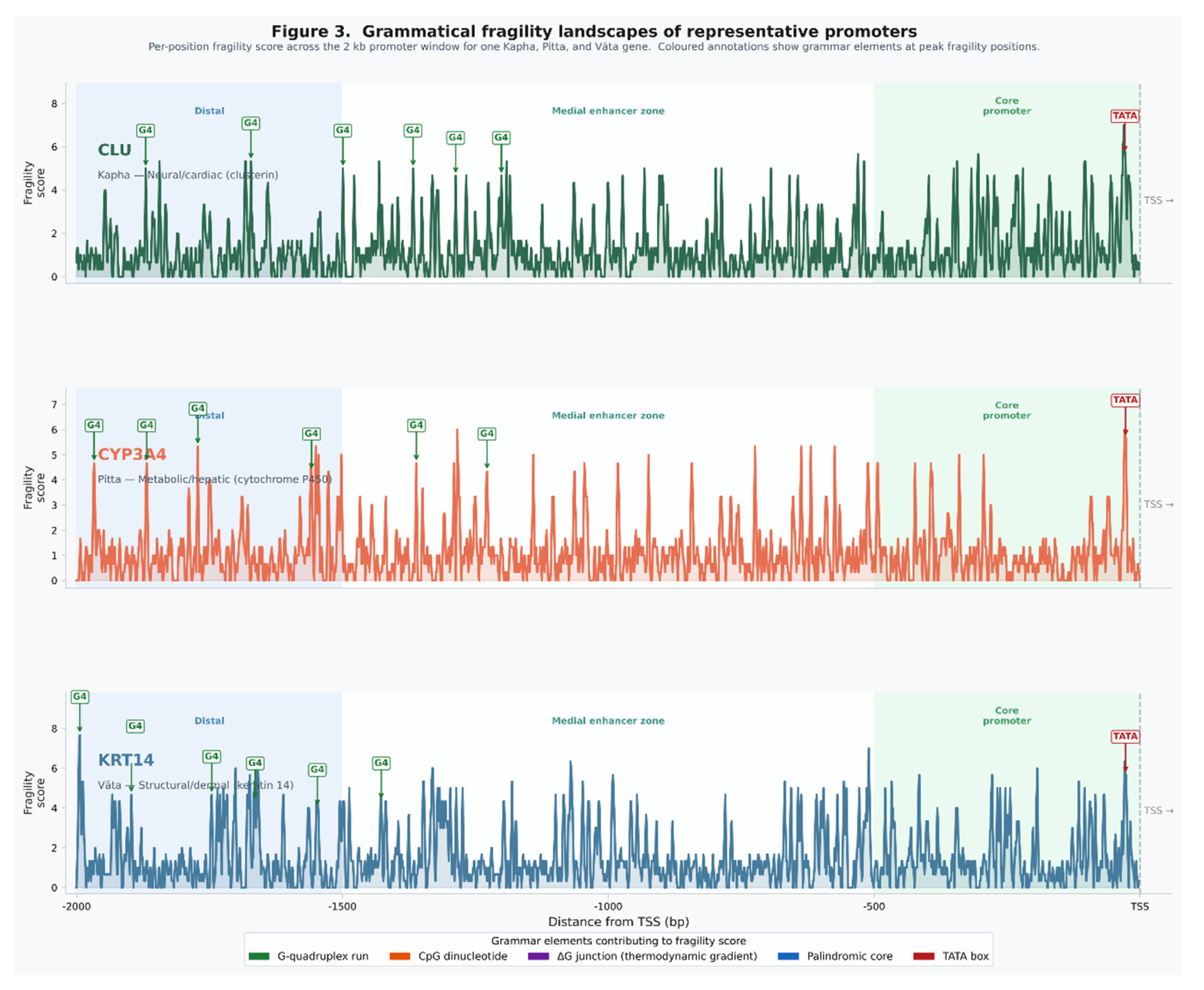 Preprints 204366 g003