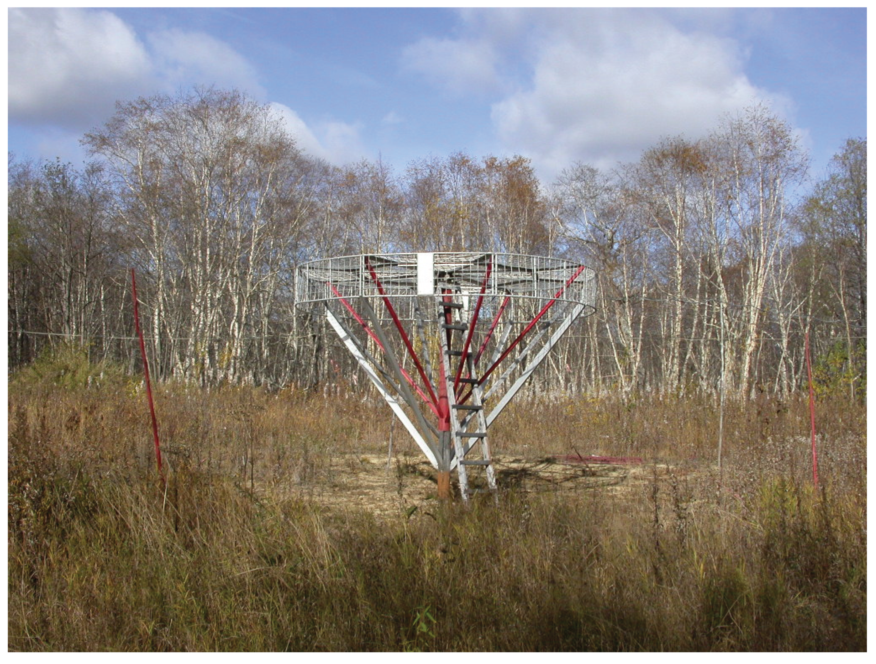 Preprints 181509 g001