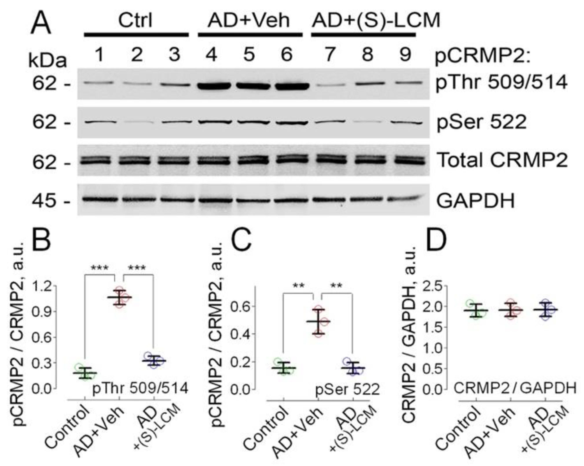 Preprints 153998 g001