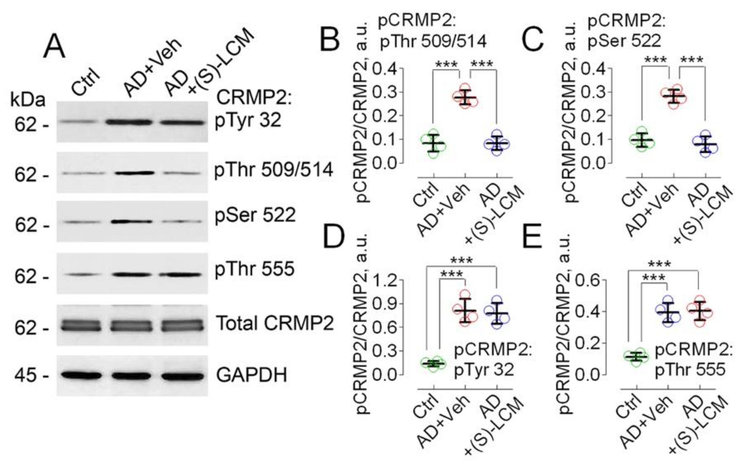 Preprints 153998 g002