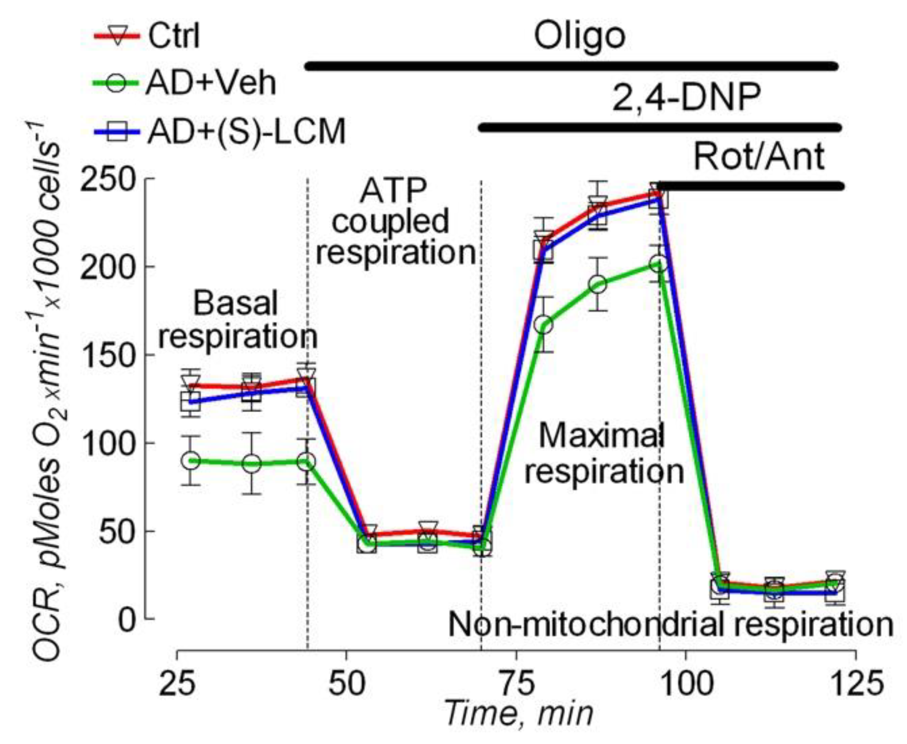 Preprints 153998 g003