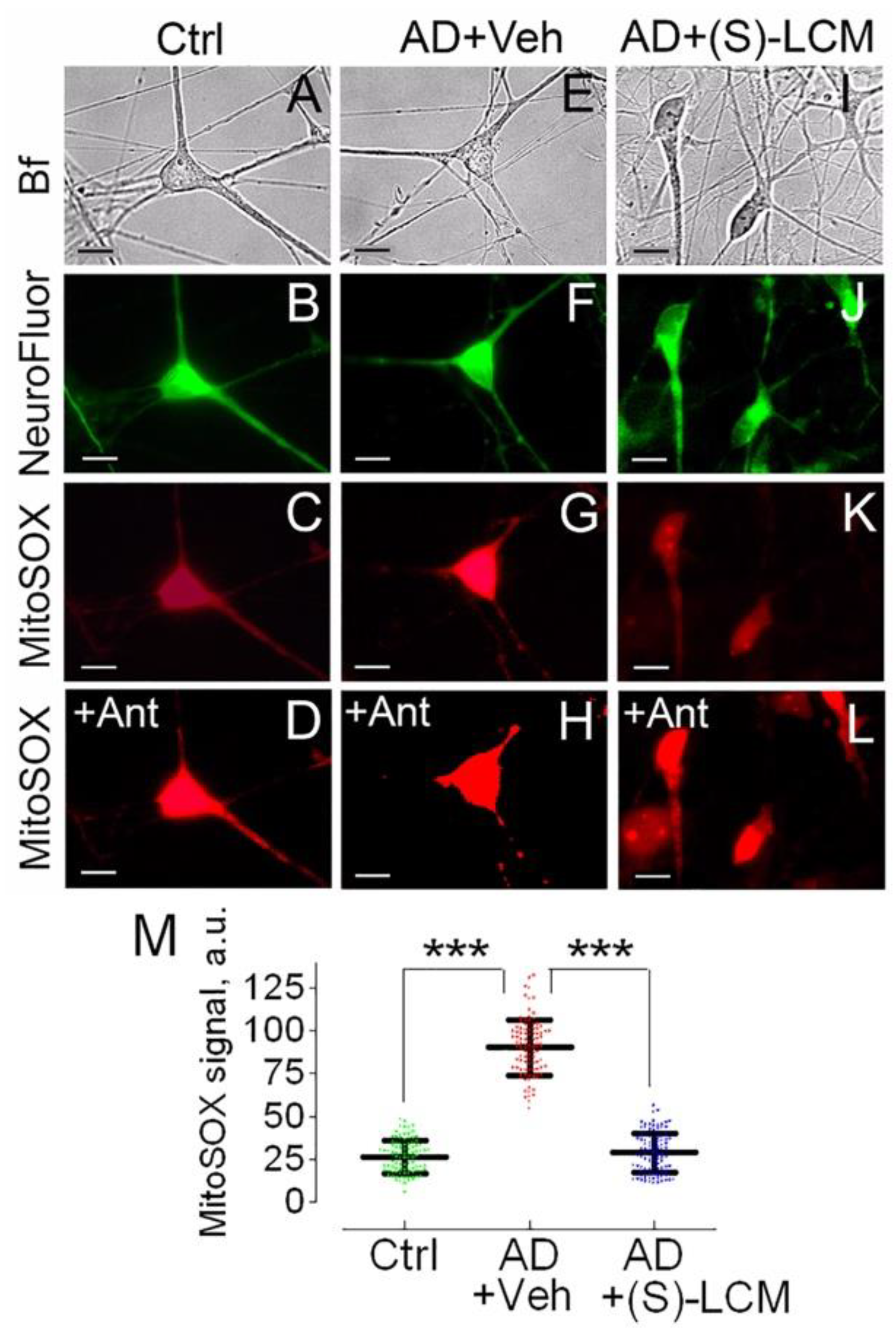 Preprints 153998 g005