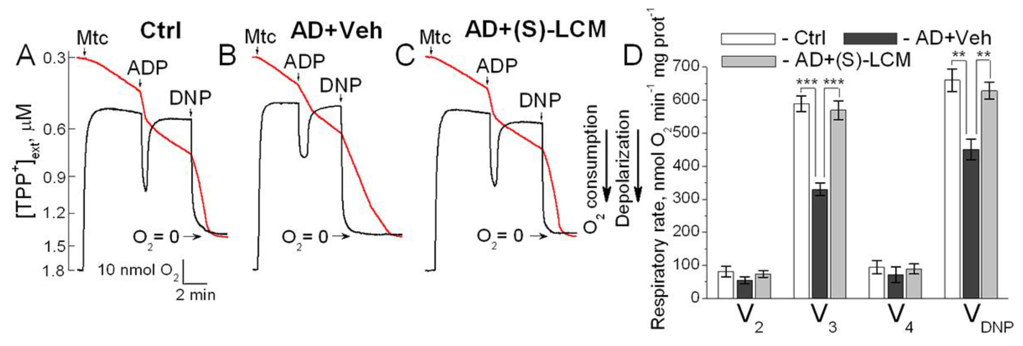 Preprints 153998 g006