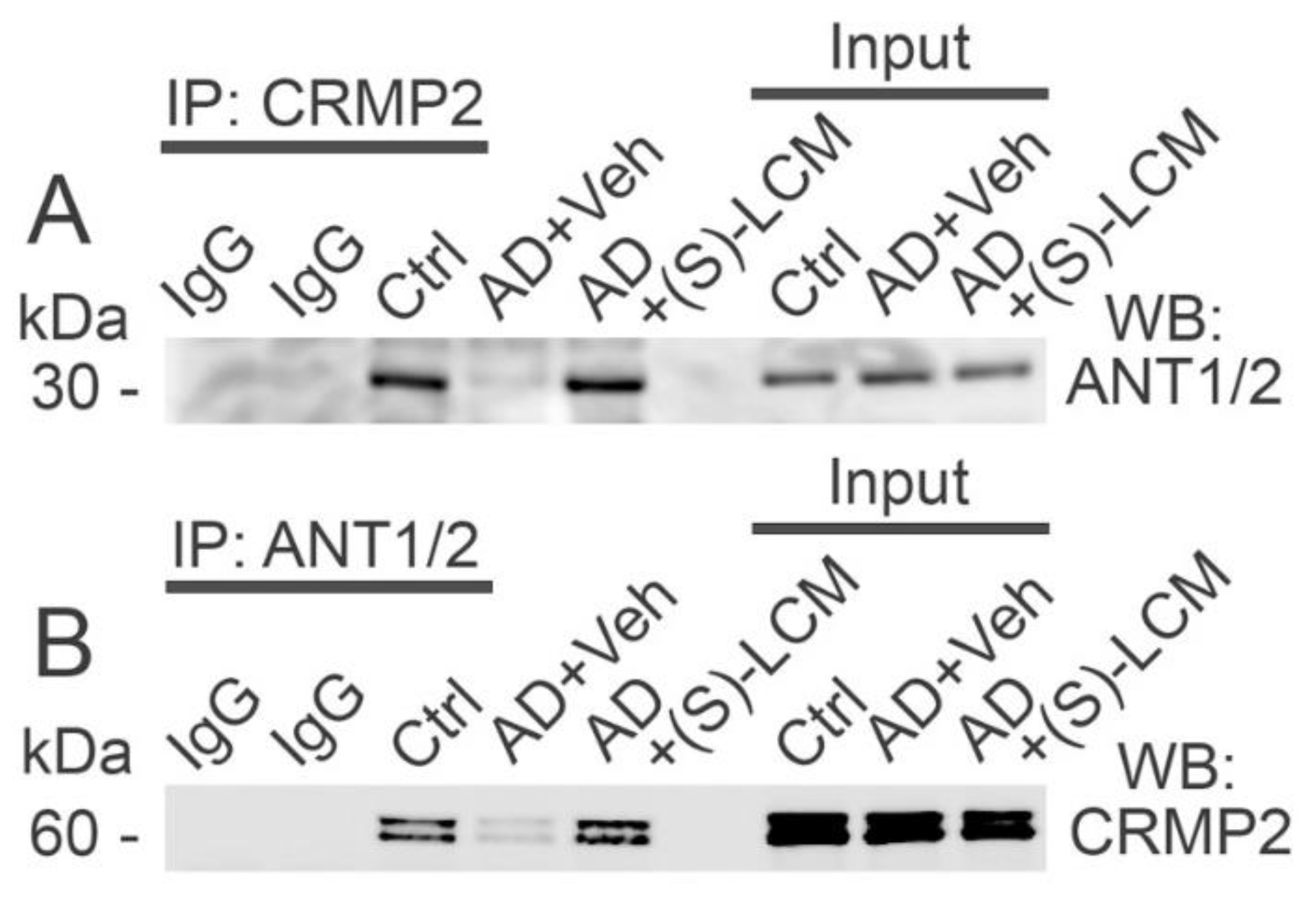 Preprints 153998 g007