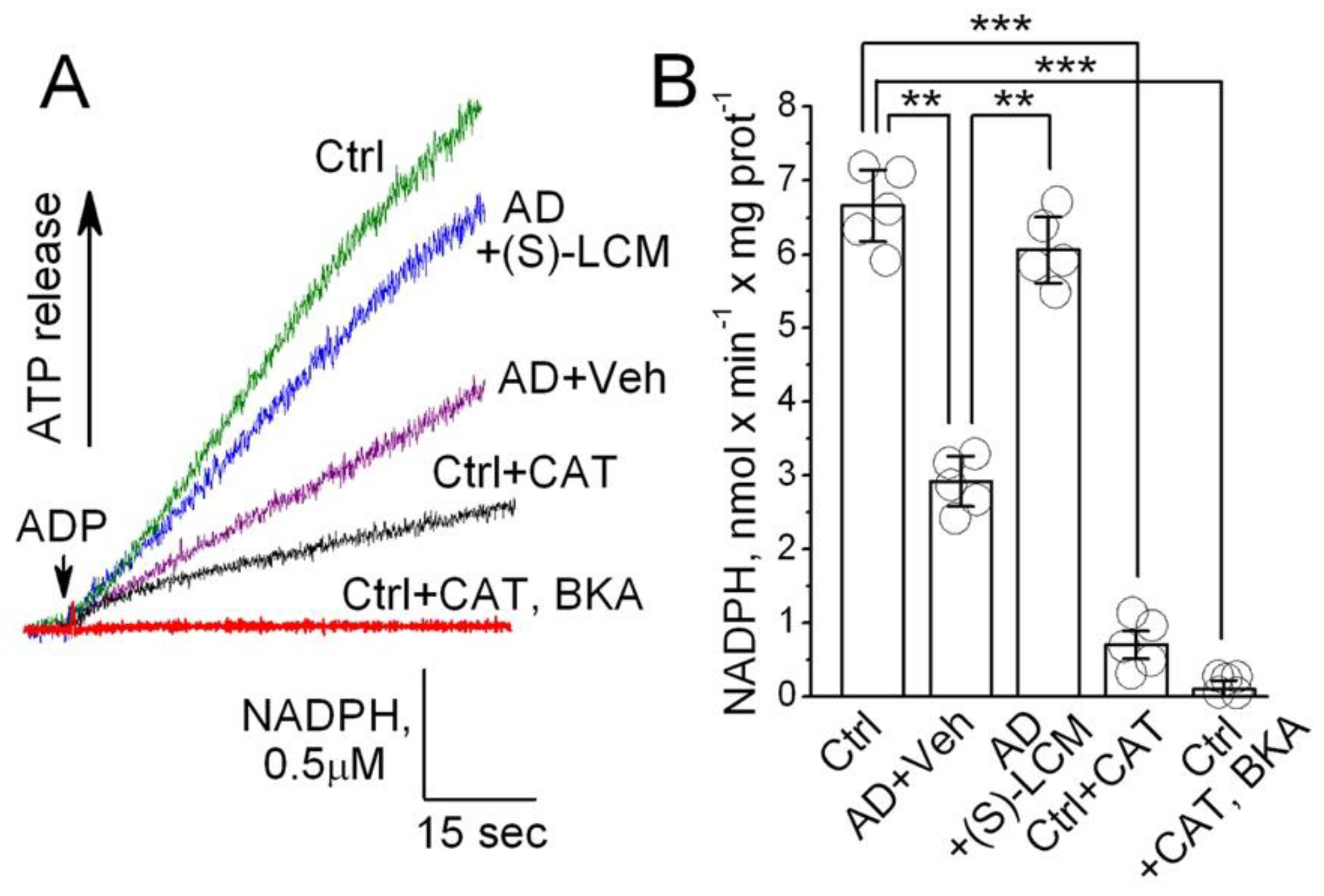 Preprints 153998 g008