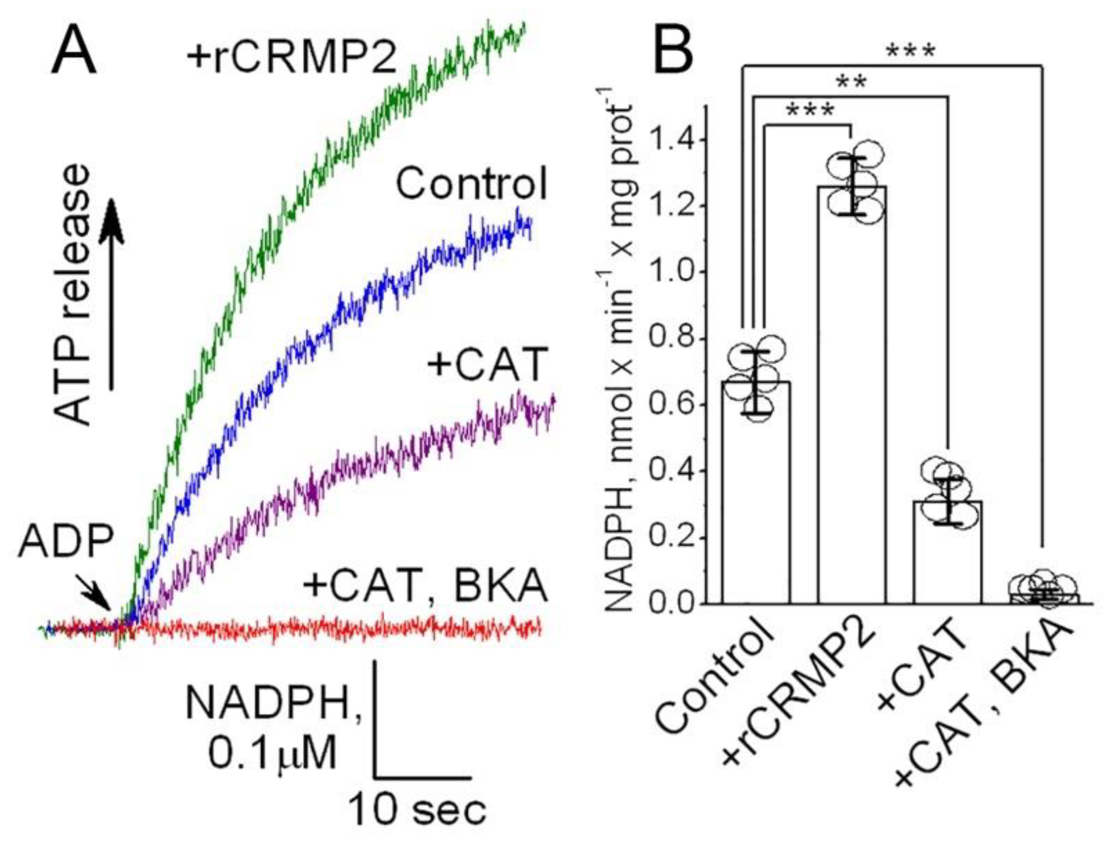 Preprints 153998 g009